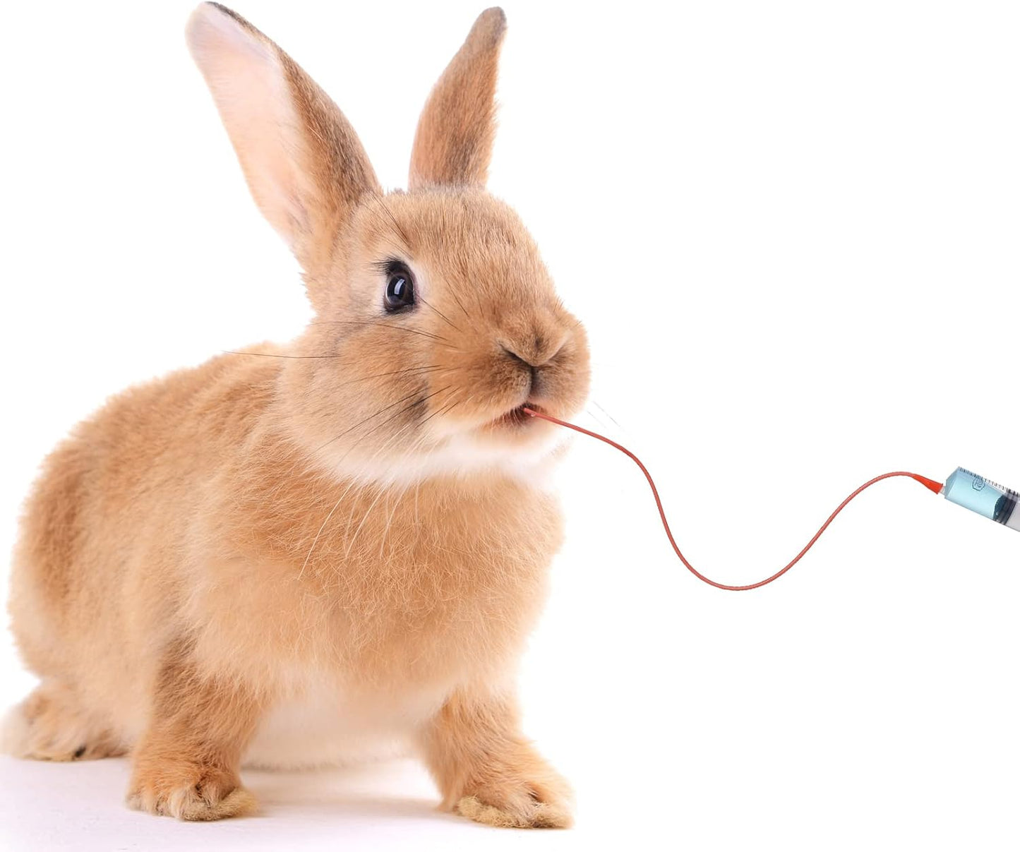 3 Sets Puppy Kitten Feeding Tube Kit Includes 3 Pcs 8 FR Red Rubber Feeding Tubes and 3 Pcs 30 ml Clear Feeding Syringe Kitten Syringe Feeding Supplies Feeding Tube Syringes Tool for Small Animals