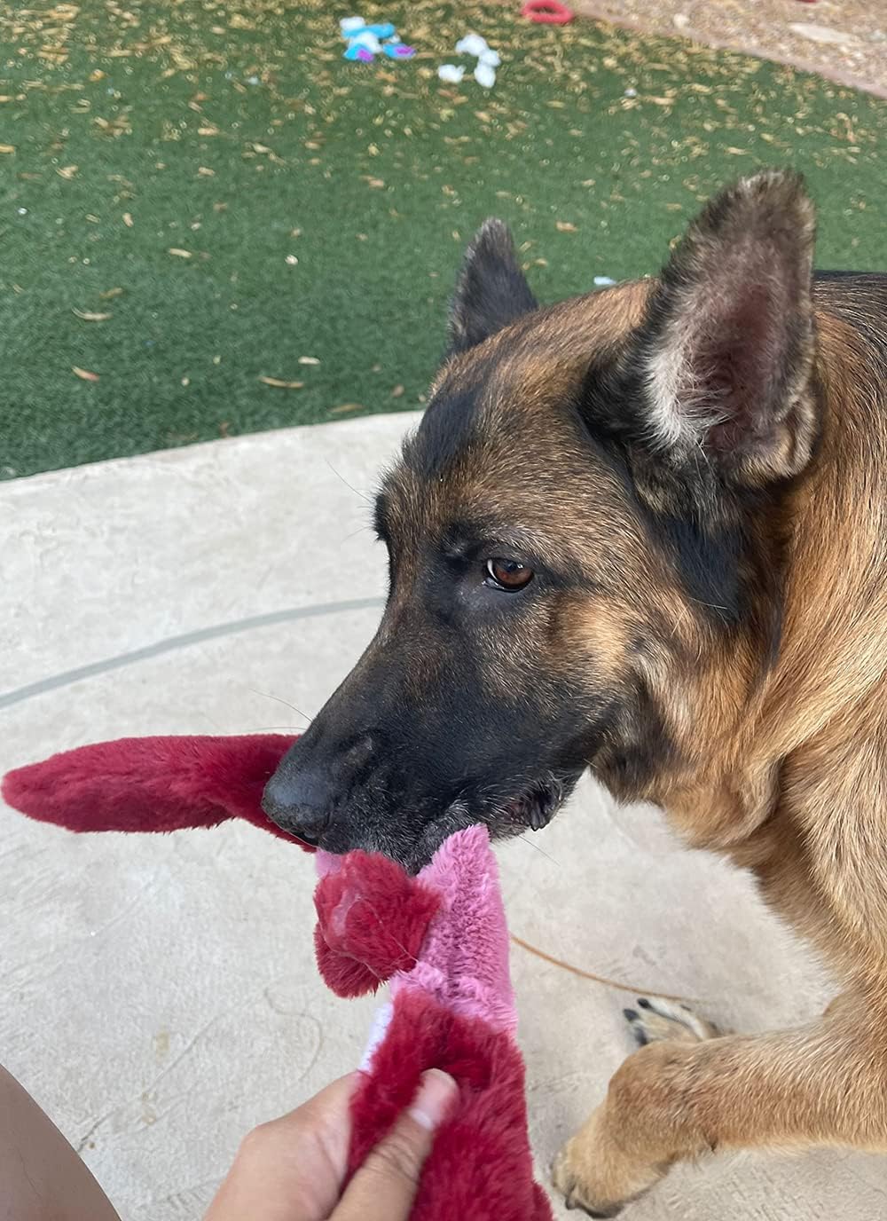 Jalousie 5 Pack Stuffingless Dog Crinkle Paper Toys Dog Toy Dog w/Durable Liner No Stuffing Dog Toy - Dog Toys for Pets Dogs No Stuffing Dog Crinkle Sound Toy for Medium Large Dogs