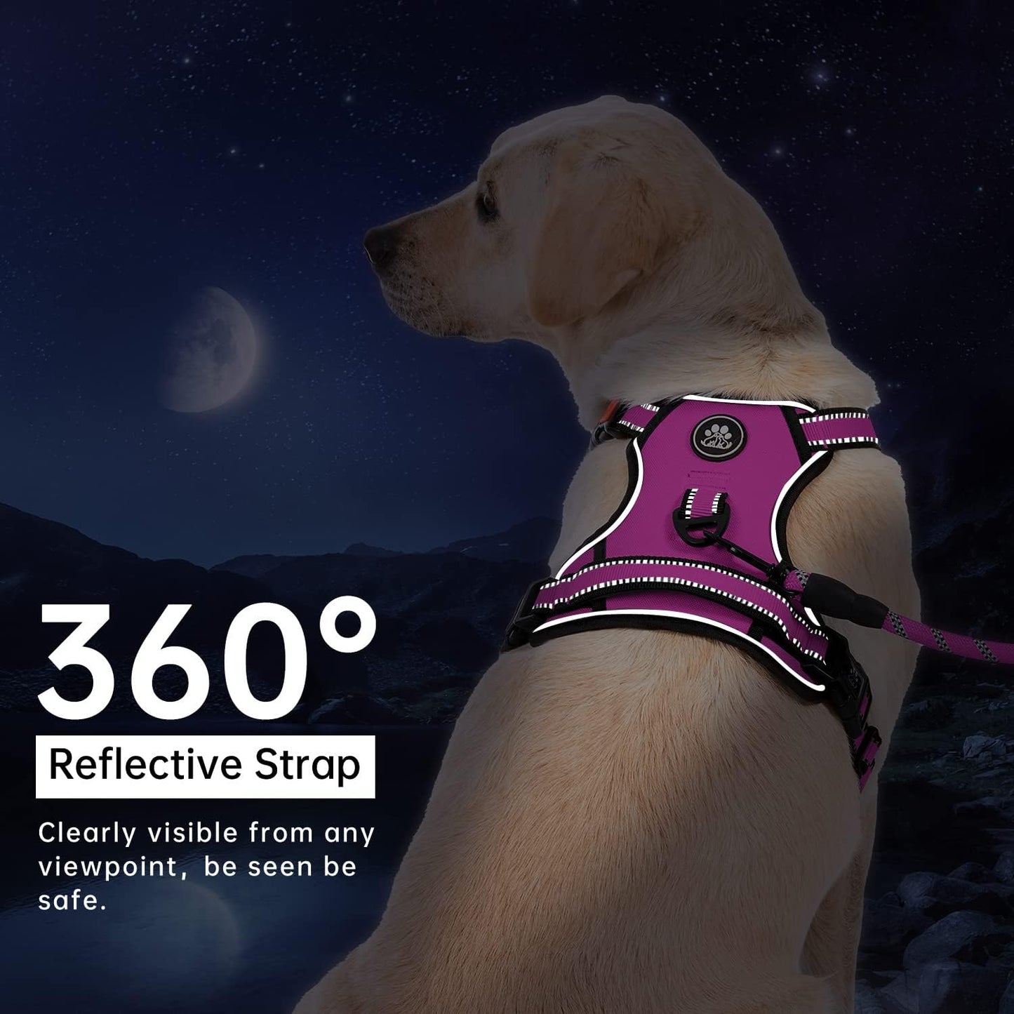 IVY&LANE No Pull Dog Harness for Small Dogs, Dog Vest Harness with Leash, Safety Belt and Storage Strap, Fully Adjustable Harness, 360° Reflective Strip, Soft Handle (Fuchsia Pink,S)