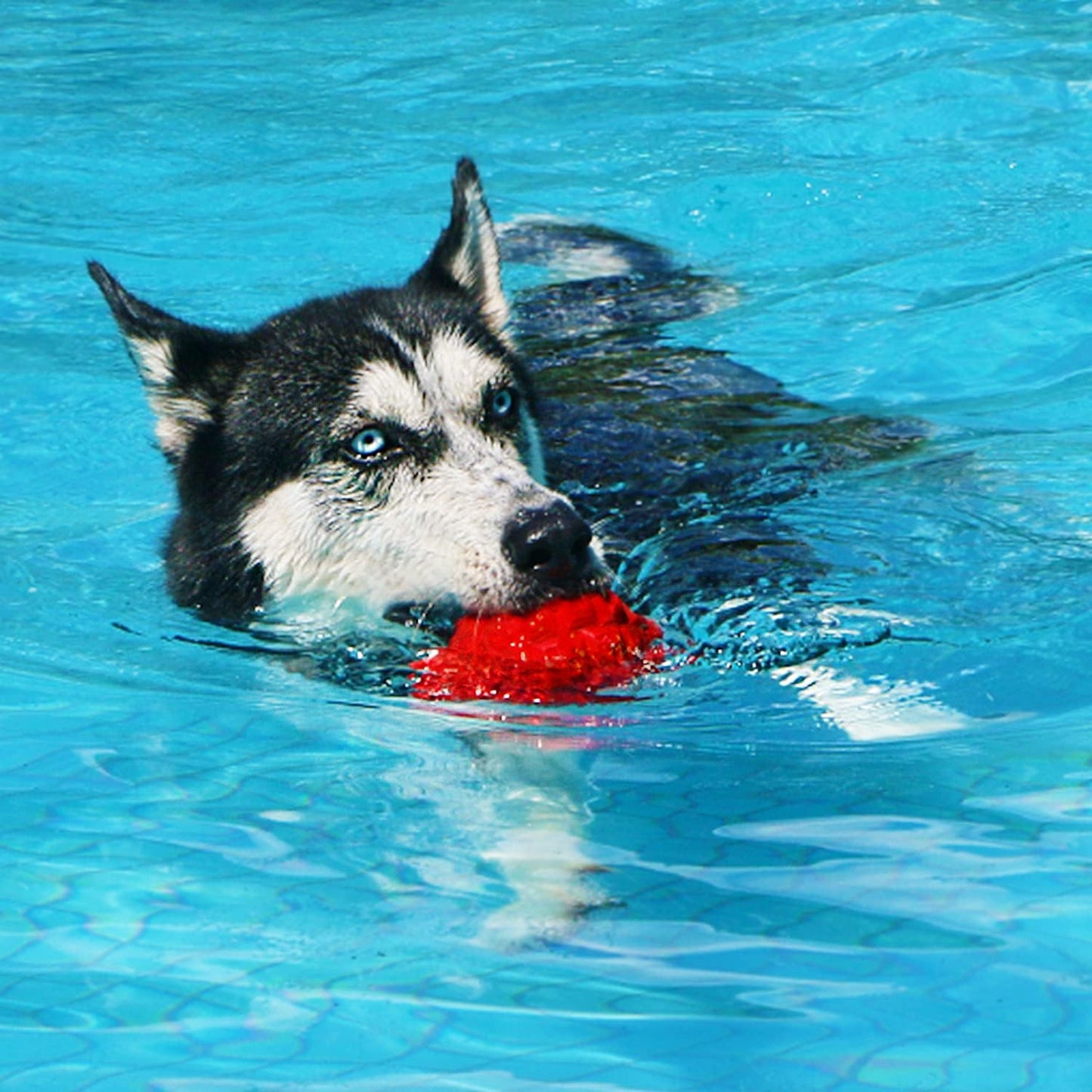 Dog Toys for Aggressive Chewers, Heavy Duty Tough Dog Toy for Large Dogs, Indestructible Squeaky Dog Toys