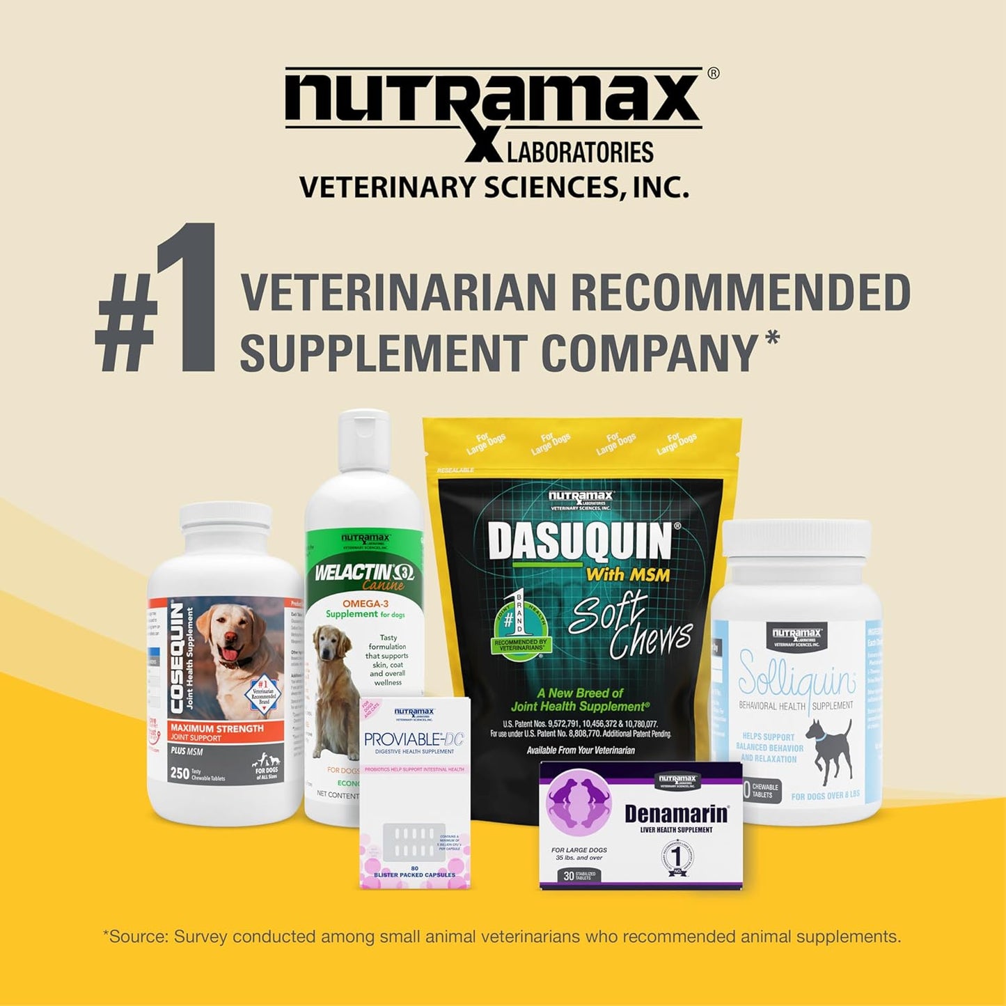Nutramax Laboratories Dasuquin with MSM Chewable Tablets For Small/Medium Dog