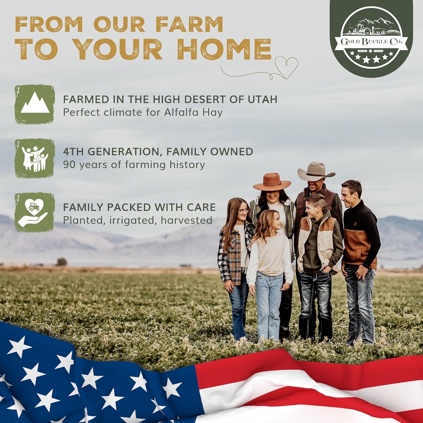 20lb Freshly Dried Organic Alfalfa Hay for Guinea Pigs, Rabbits, Chinchillas, Goats, Hamsters & Ferrets, Small Animal Food Rich in Protein & Fiber, Hand-Selected, Hand sorted, USA Grown