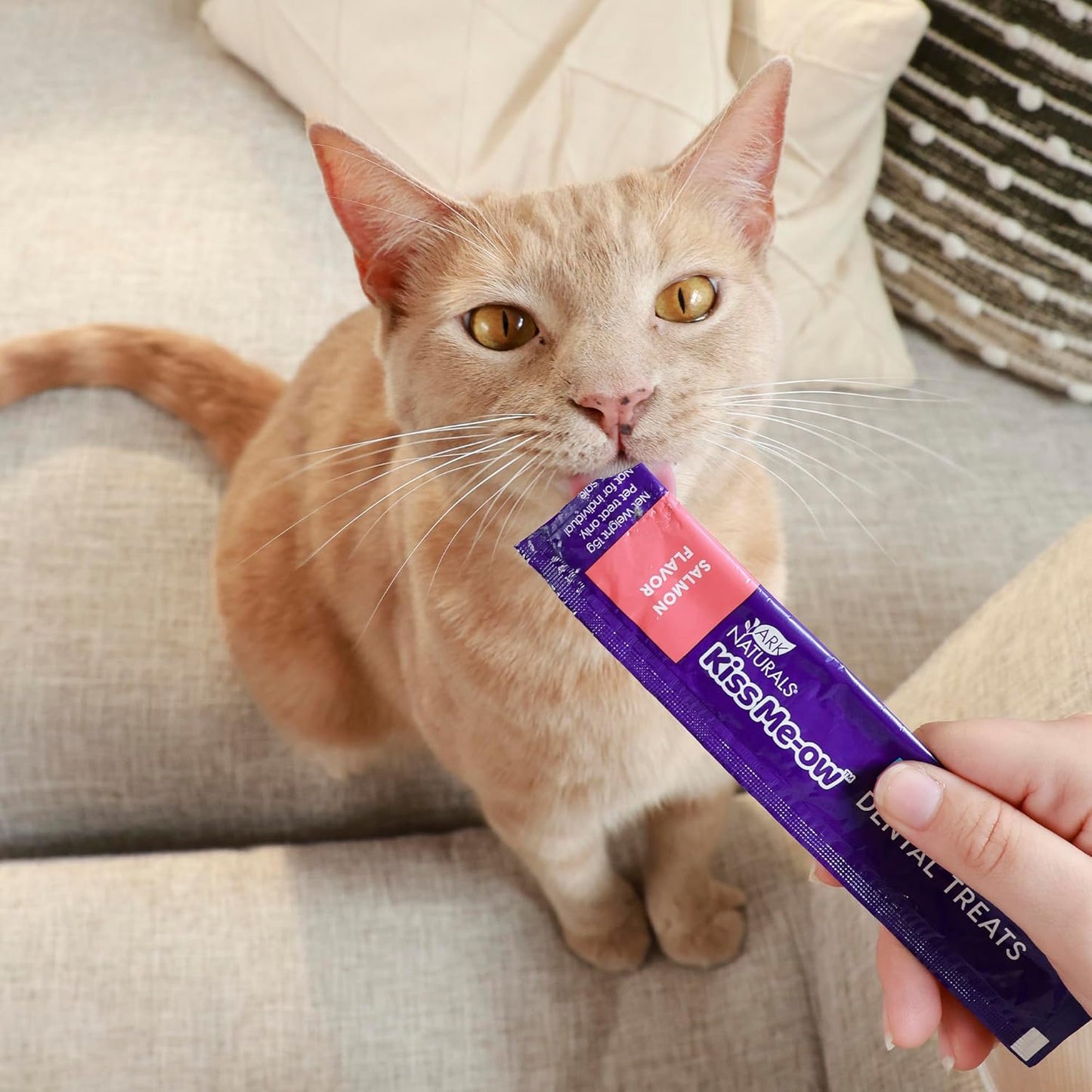 Ark Naturals, Kiss Me-Ow Lickable Salmon, 2 oz