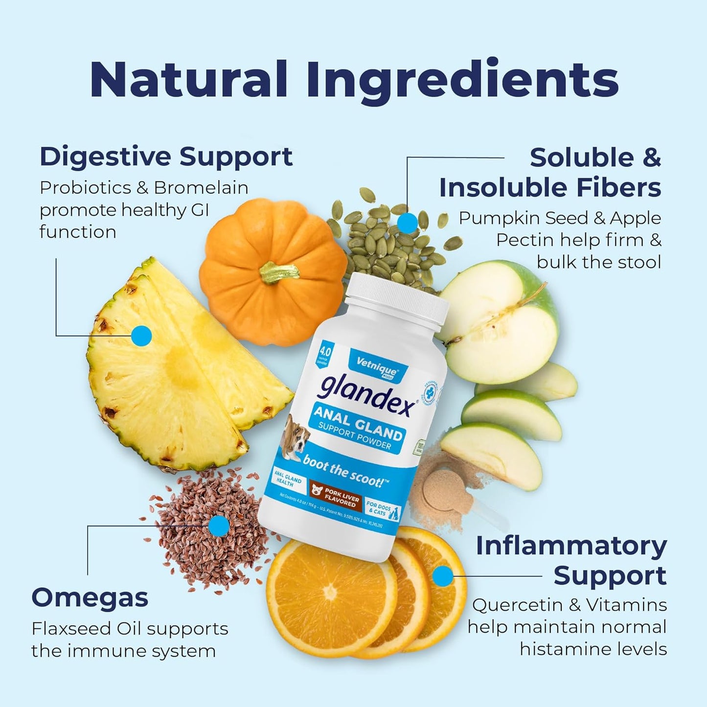 Vetnique Labs Glandex Dog Fiber Supplement Powder for Anal Glands with Pumpkin, Digestive Enzymes & Dog Probiotics for Digestive Health - Vet Recommended - Boot The Scoot (Pork Liver, 4.0oz Powder)