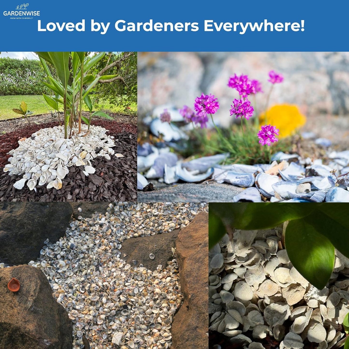 Natural Organic Sea Shell Mulch for Gardens and Landscaping – Decorative and Nutrient-Rich, 0.5–3-Inch Shells, Perfect for Indoor and Outdoor Use (0.5 CF - 14 L - 15 QTS)