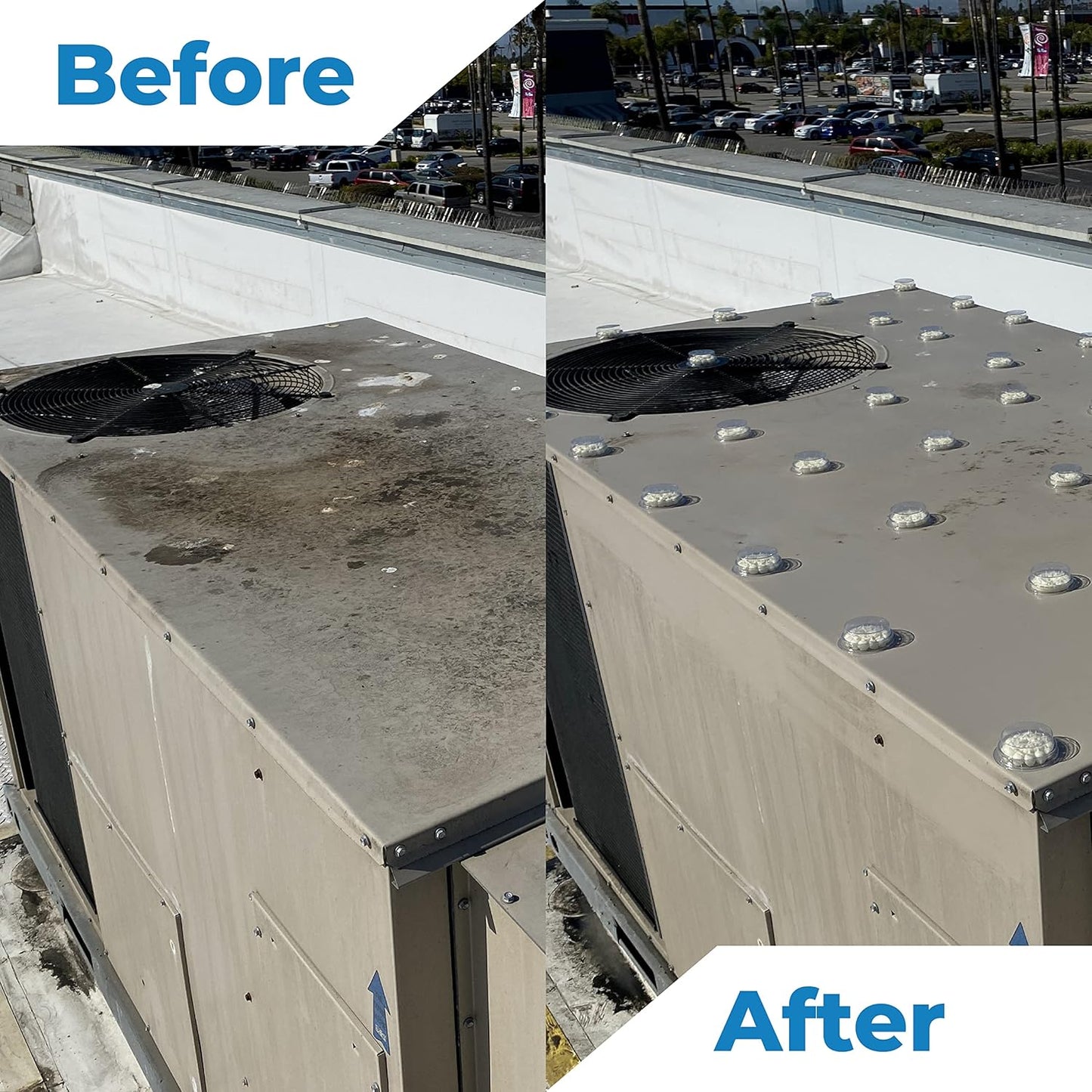 Bird Barrier Dissolve-It Max Enzyme Cleaner - Bird Dropping Cleaner - Dissolves Waste – Treat Affected Areas Before Installing Bird Control Products - Cleans pet stains - 1 Pint Makes 1/2 Gallon