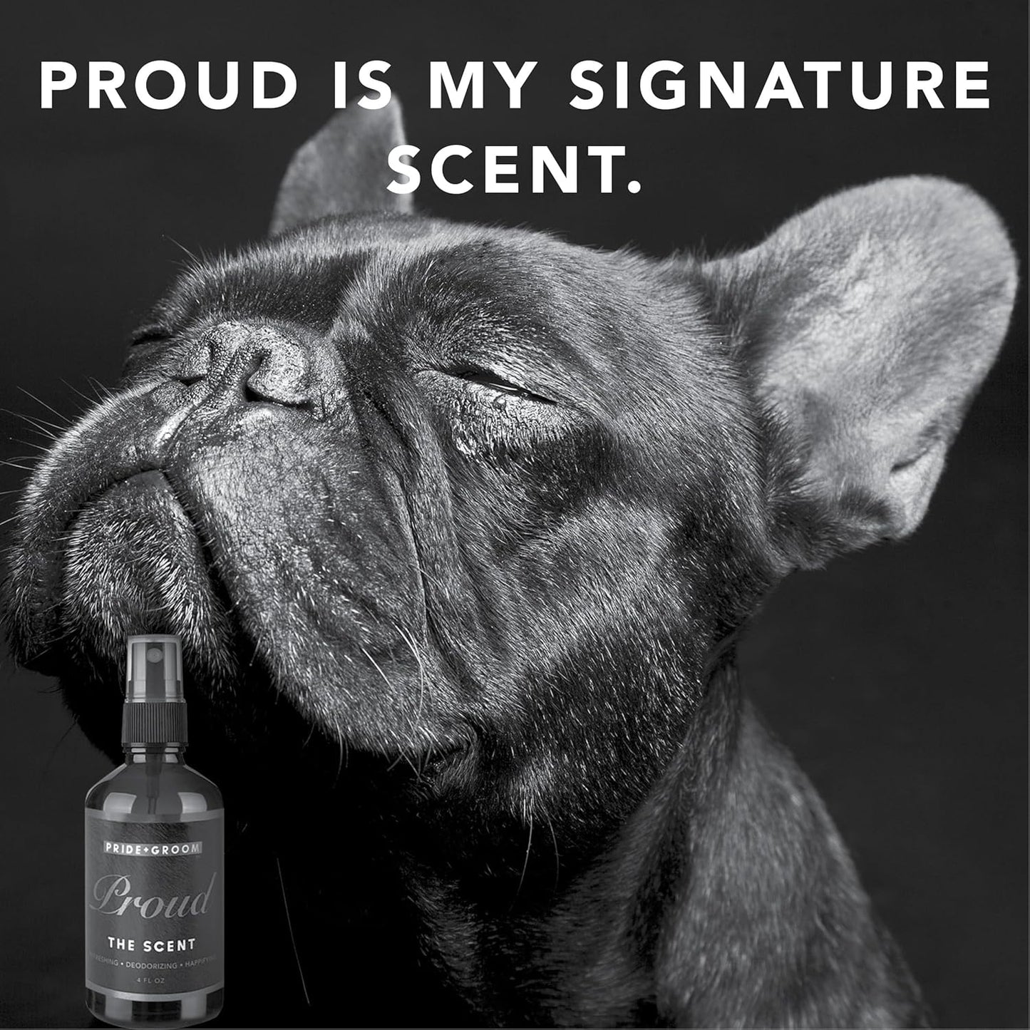 Pride and Groom Proud – Long Lasting Luxurious Dog Grooming Spray & Pet Deodorizer with Uniquely Uplifting, Fresh and Clean Signature Scent, Safe for Sensitive Skin & Noses – 4 fl oz