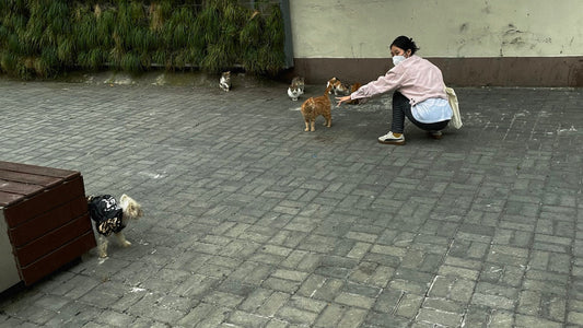 Dog Birthday Party Ideas: Celebrating Your Pups Special Day