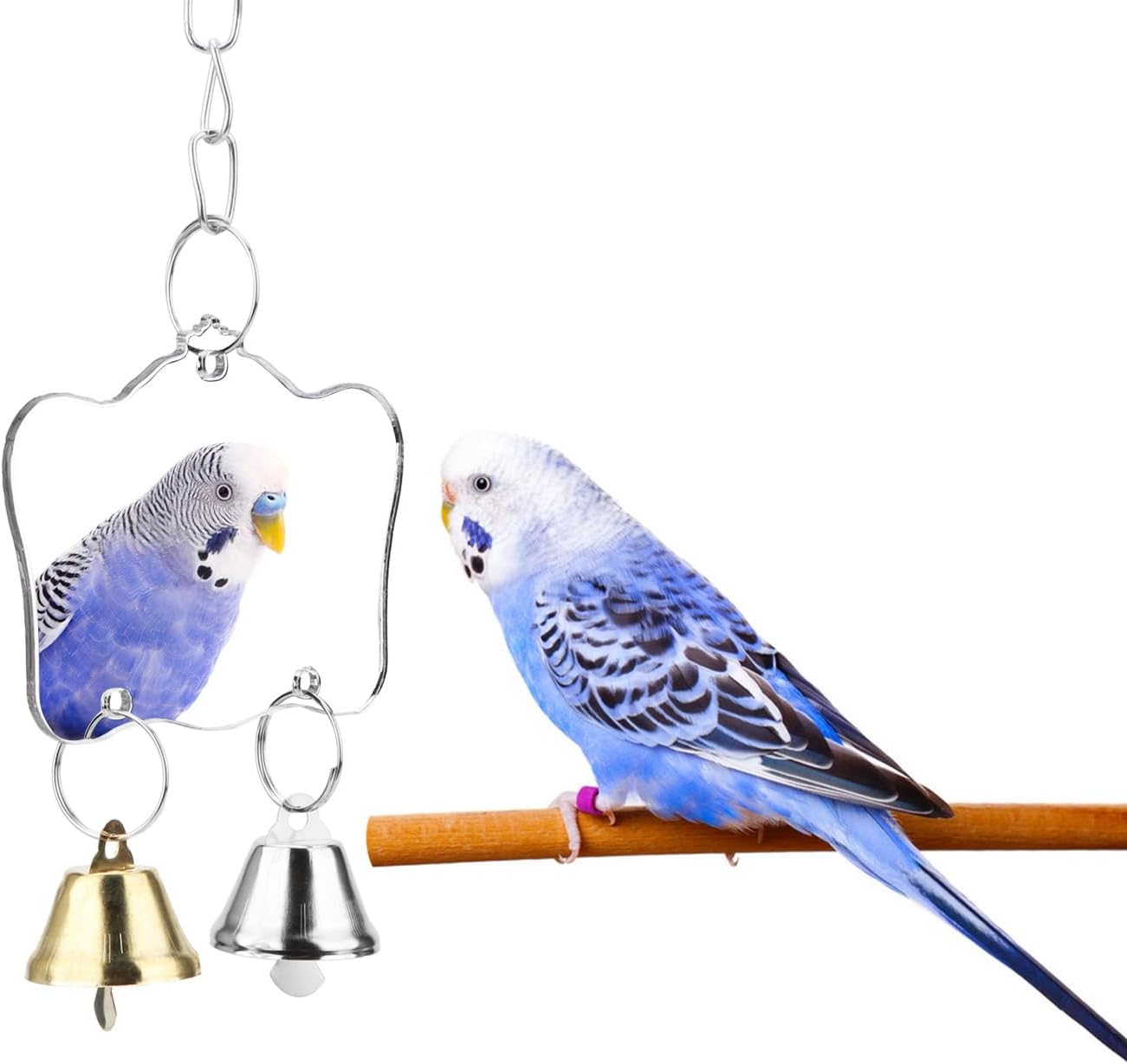 Bird Toys & Cage Accessories
