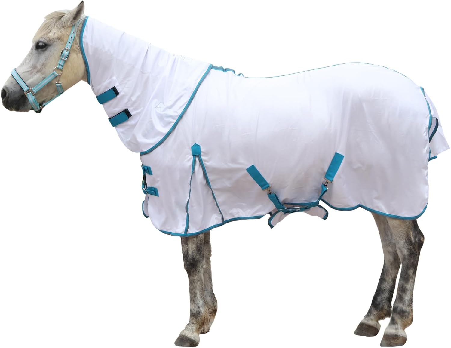 Horse Blankets & Sheets