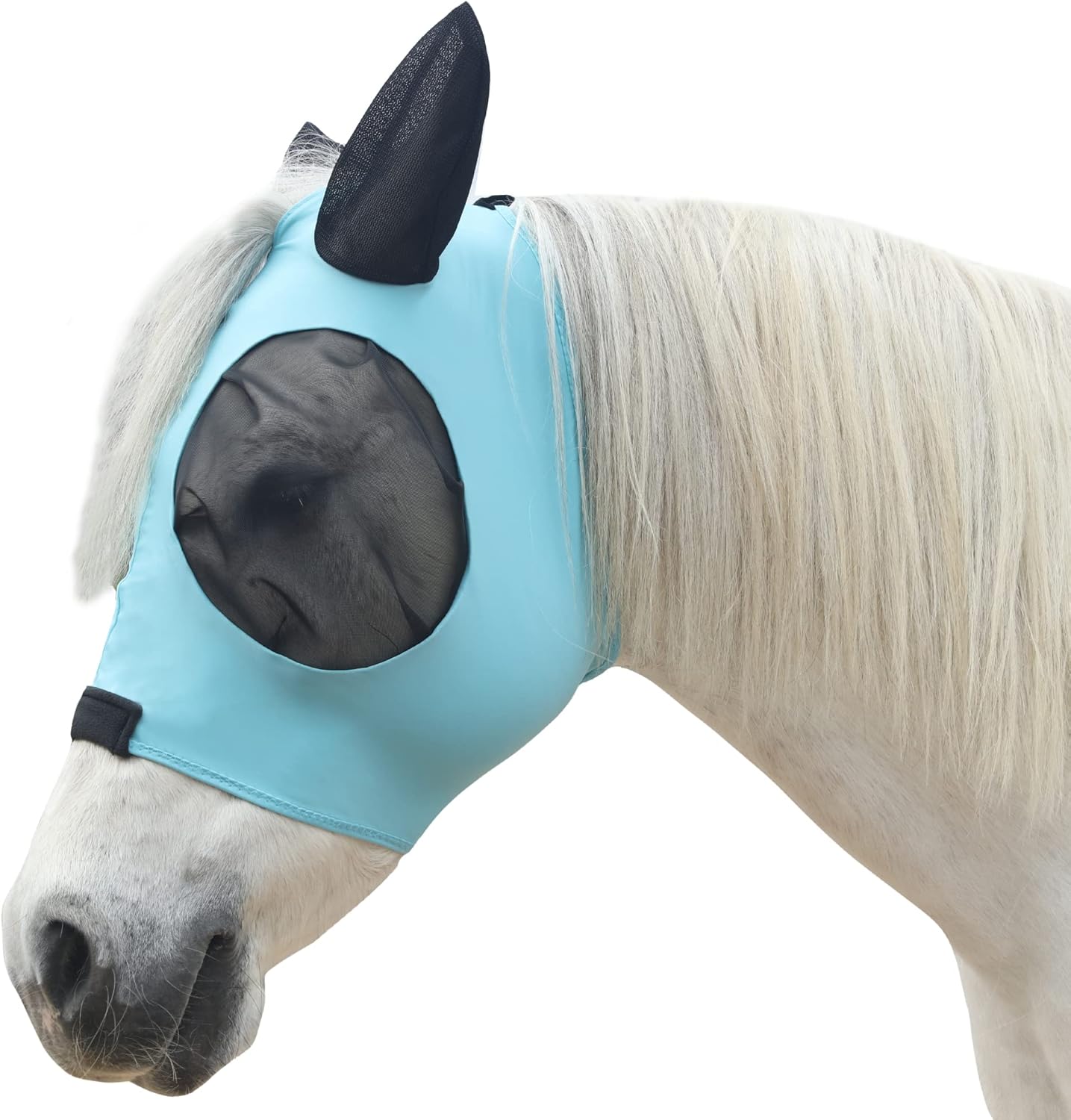 Horse Fly Masks & UV-Protection Gear