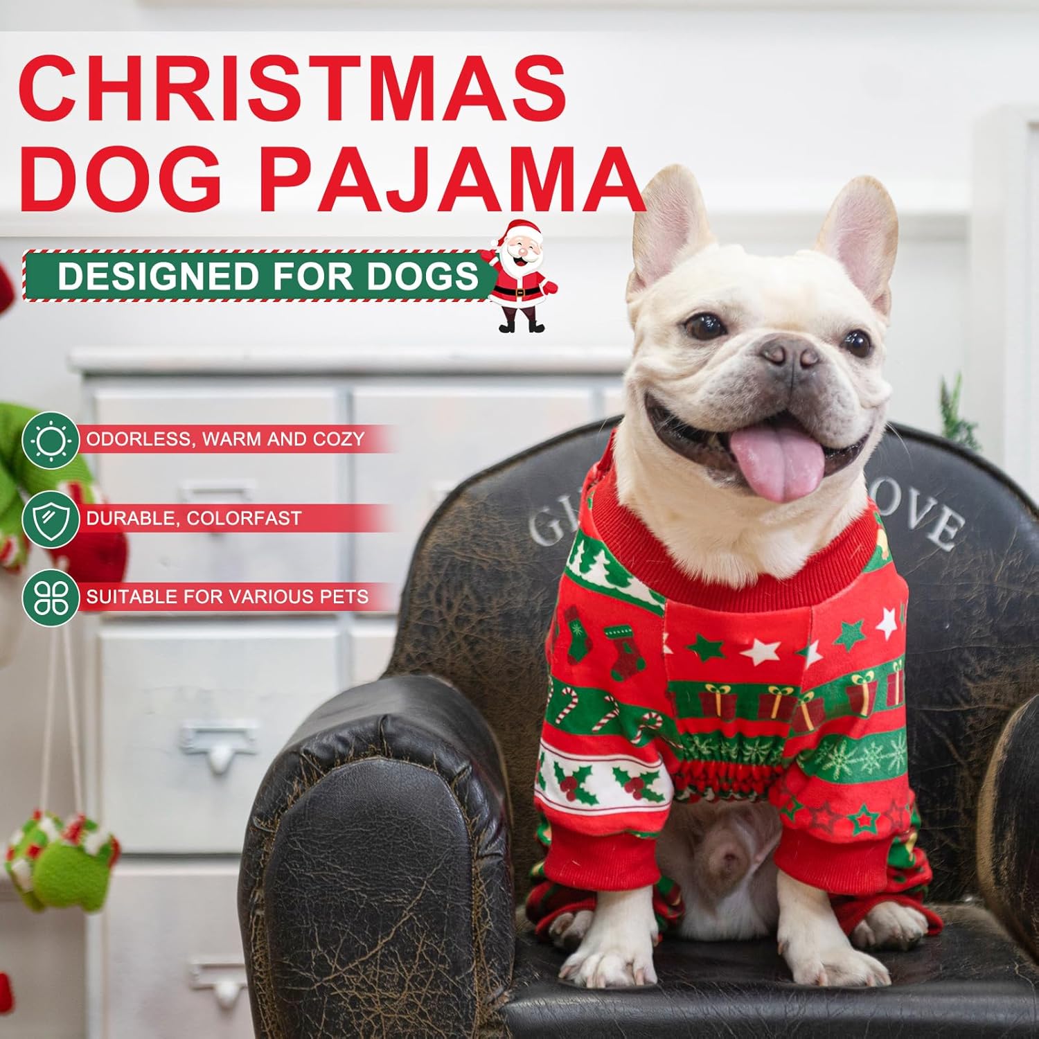 All-Season Pet Apparel & Accessories