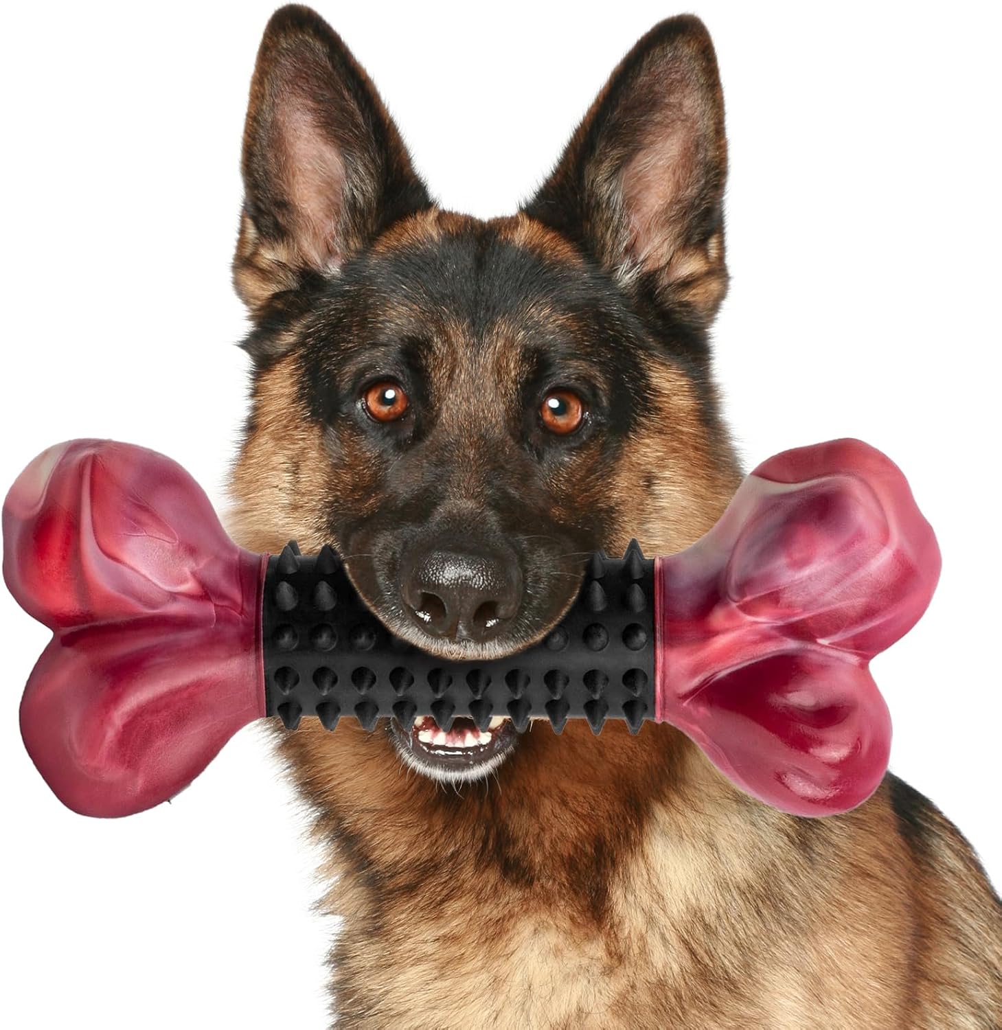 Dog Toys & Smart Play