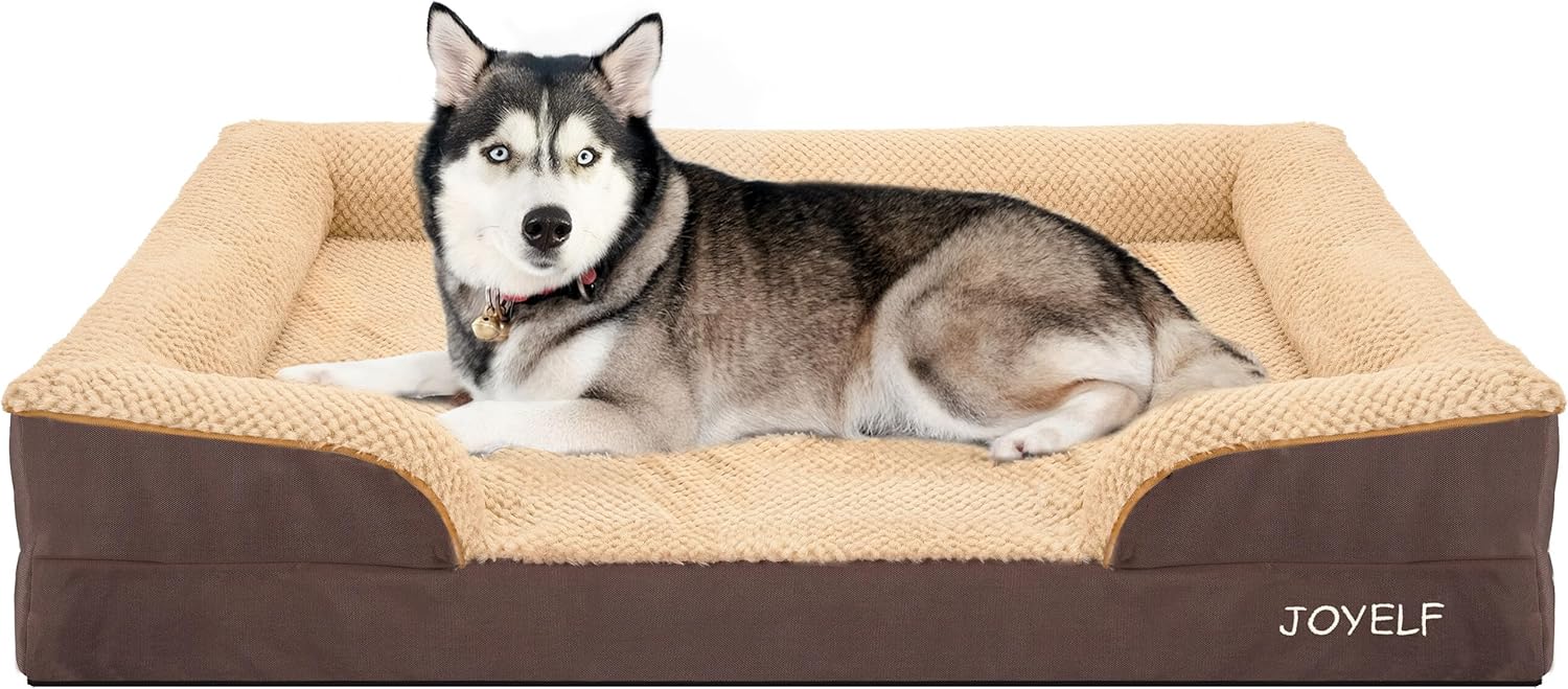 Pet Beds & Furniture