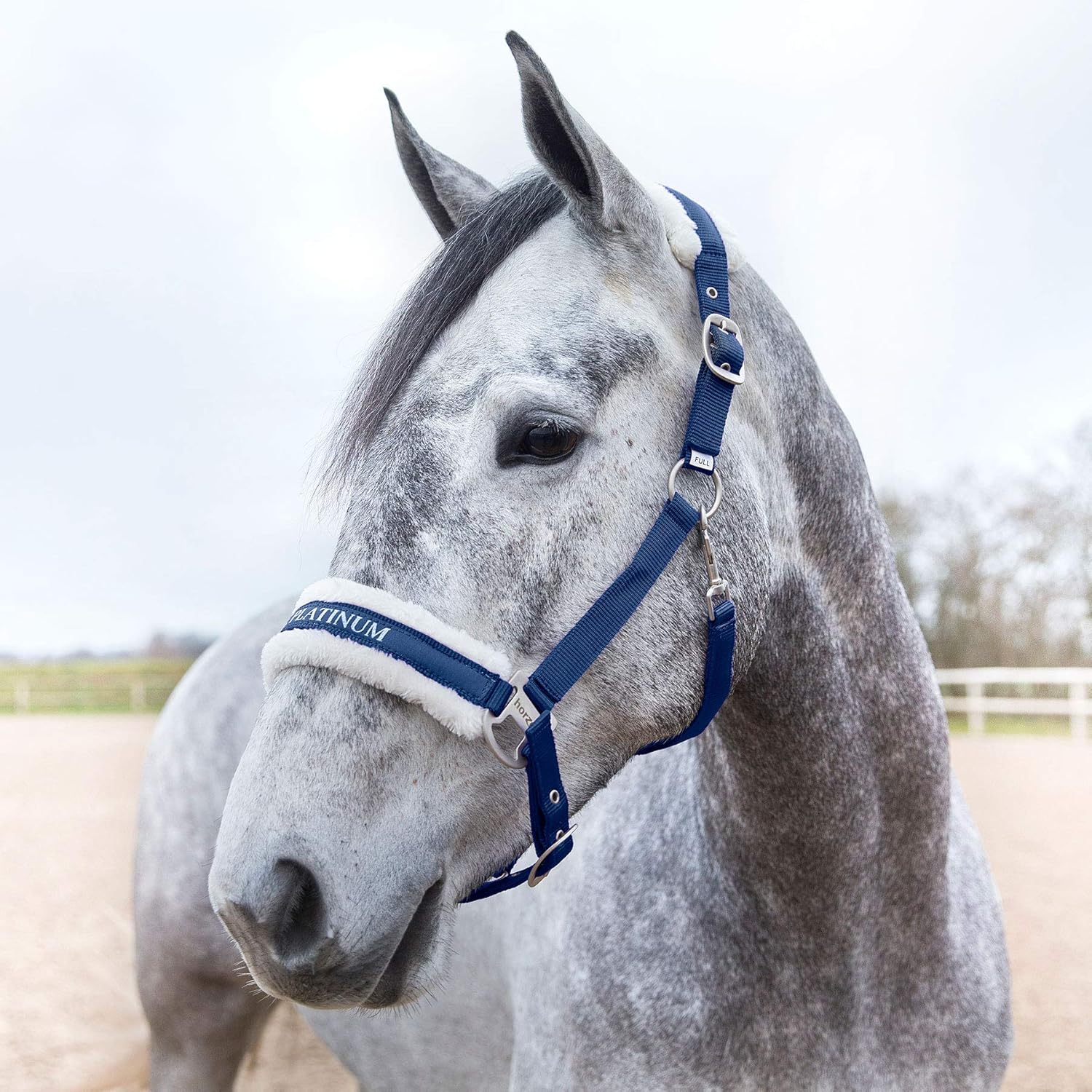 Horse Halter