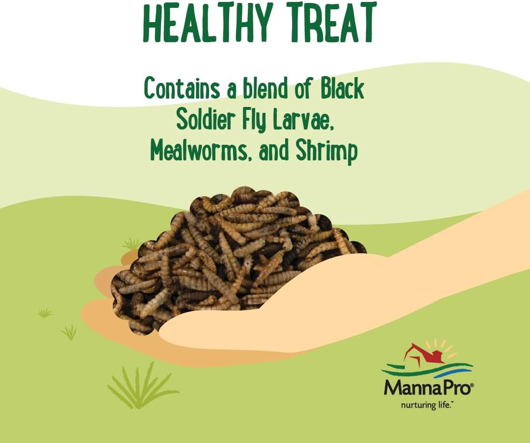 Reptile & Amphibian Food – Healthy Insects and Mealworm Diets