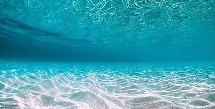 48X24IN Natural Undersea Aquarium Background, Undersea Beach Fish Tank Background, with 8 EVA Double-Sided Tape