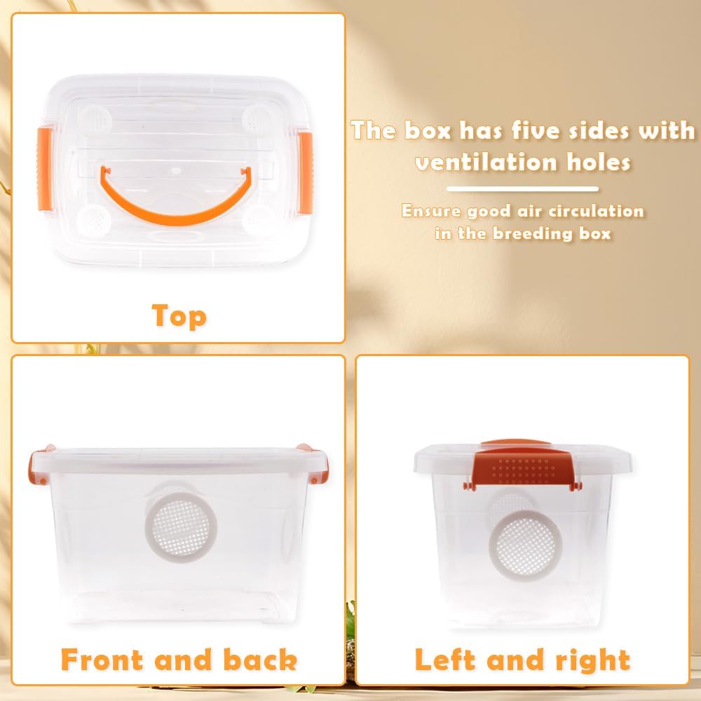 Reptile Feeding Box Snake Plastic Transparent Breeding Box Hatching Container for Small Reptile Bearded Gecko Dragon Lizard Spider Frog Scorpion (11 x 7.8 x 6.7 Inch)