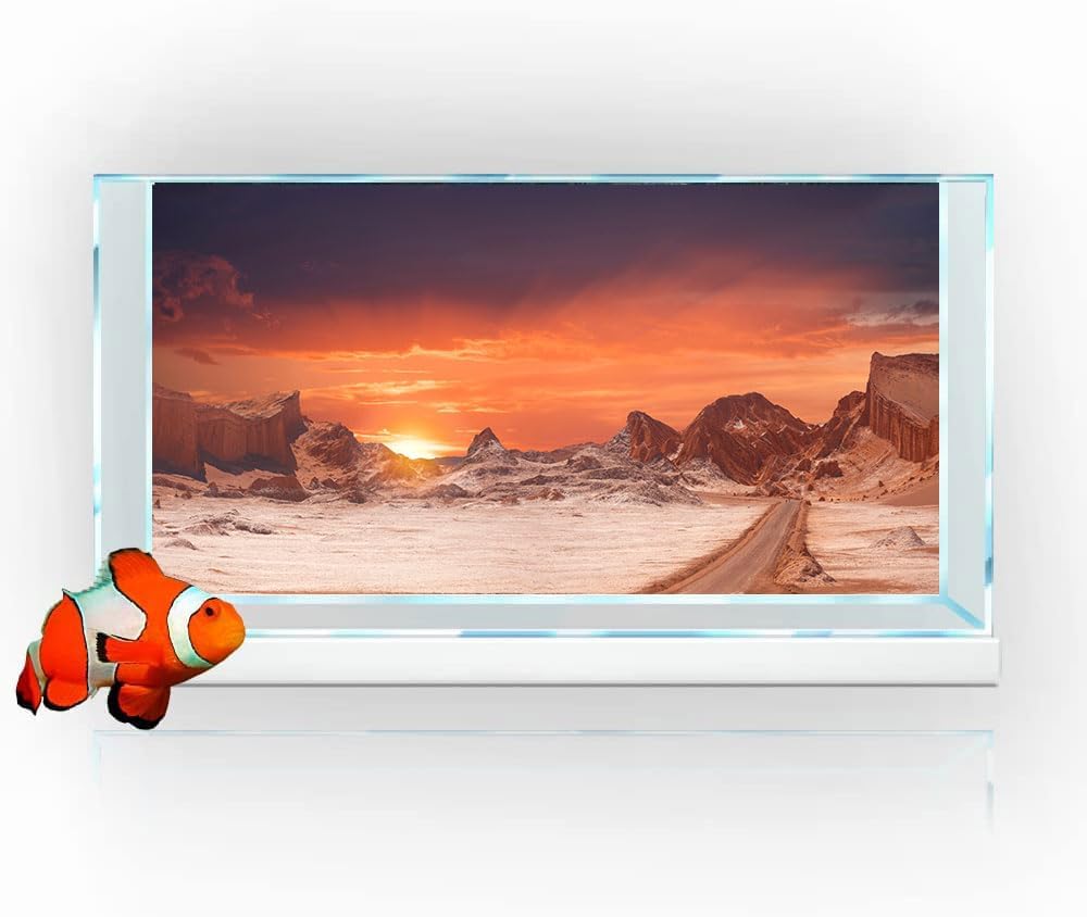 24X16IN Sun and Desert Moon Themed Reptile Habitat on Orange Durable Decorative Background, Terrarium Background with 10EVA Double-Sided Tape