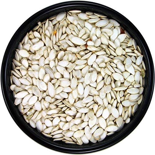 SLEEK & SASSY Oregon Pumpkin Seeds Bird Treat (10 oz.)