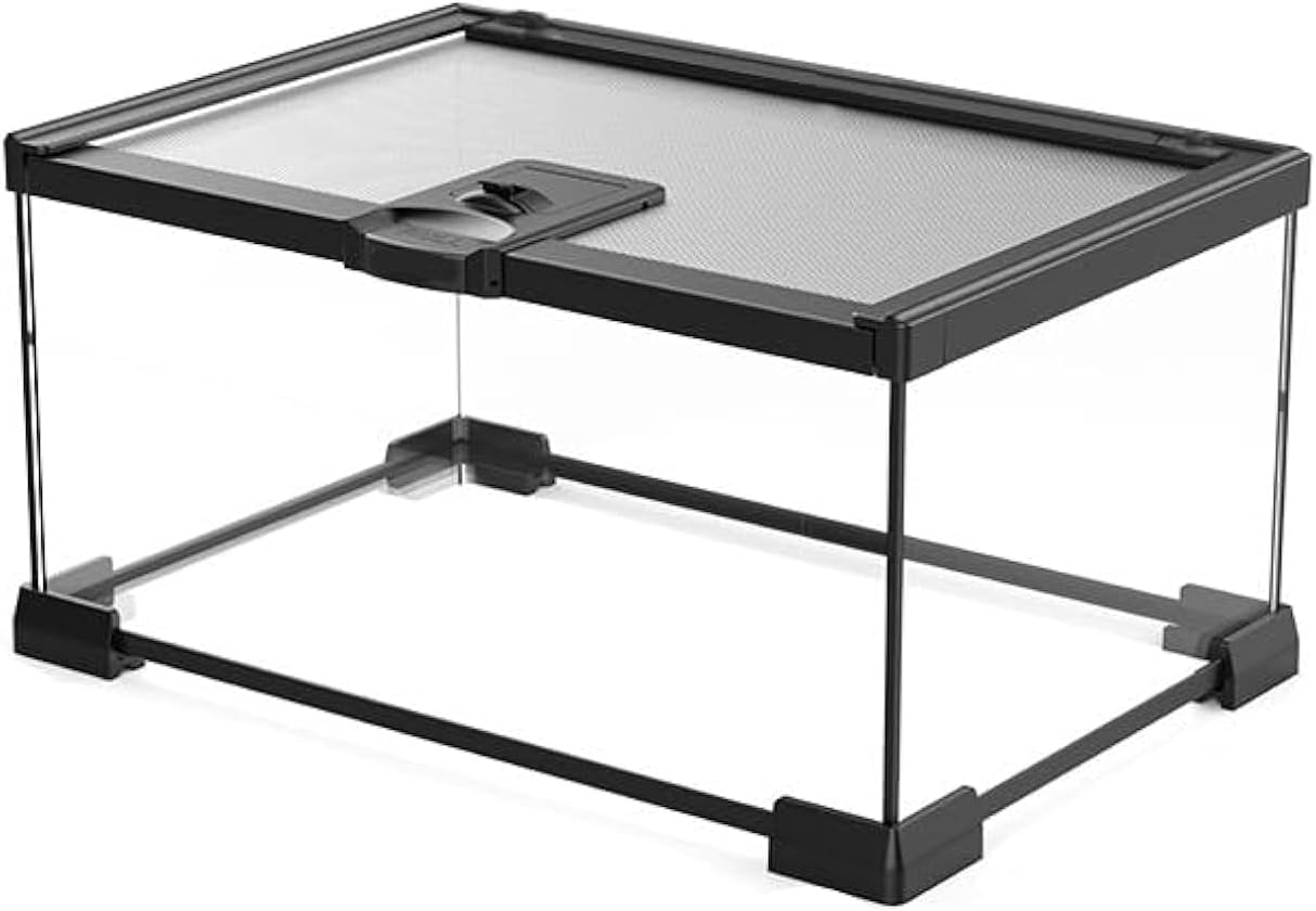 Mini Reptile Glass Terrarium Tank, cage for Tarantula Sling Geckos, Frog, Lizards, Chameleons,Turtles Snake Snail Insect Hermit Crab Isopods Reptiles Enclosure (12x8x6inch)