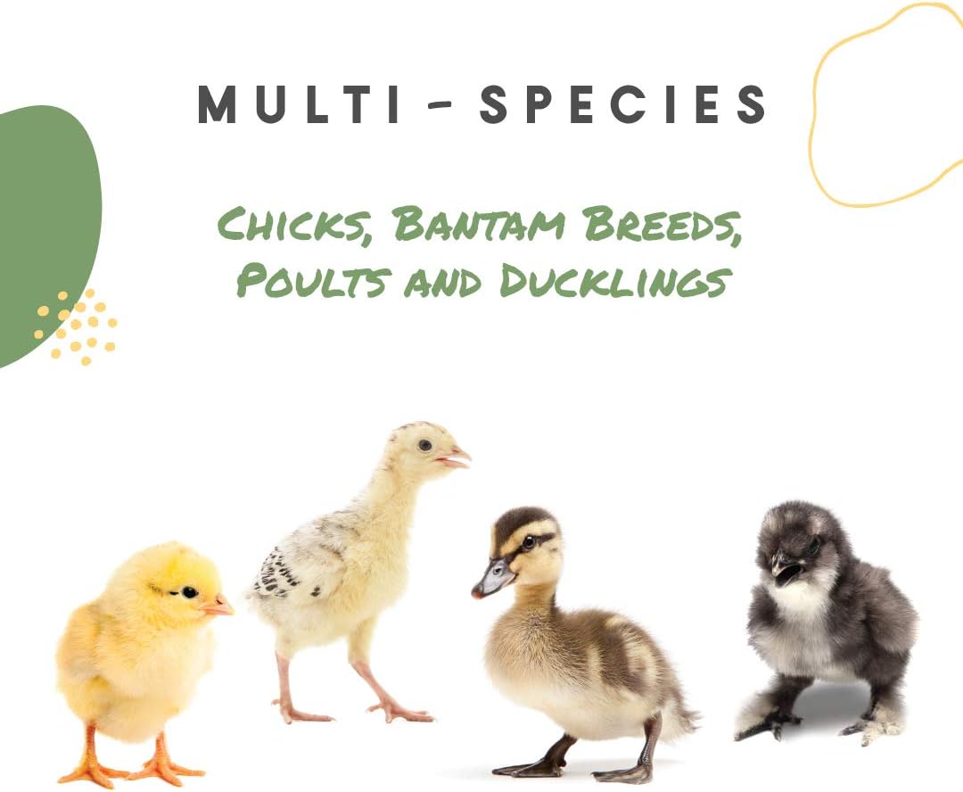 Manna Pro Chick Grit, Digestive Supplement for Young Poultry and Bantam Breed, Probiotics to Support Digestion, No Artificial Ingredients or Preservatives, Insoluble Crushed Granite, 25 lbs