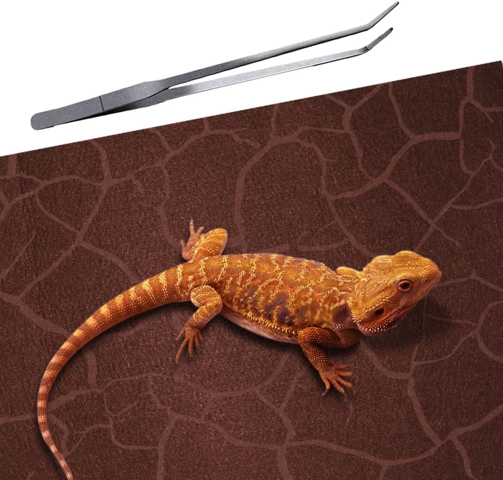 2 Pack Reptile Carpet Desert Reptile Mat & Reversible Substrate, Terrarium Liner Bedding, for Lizard,Chameleon,Gecko,Snake,Ceratophrys with Tweezers Feeding Tong (20 Gallon(30x12in))