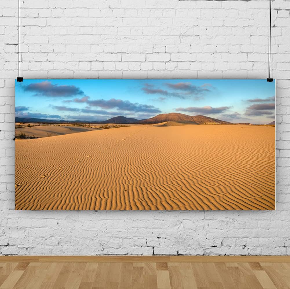 Renaiss 15x8ft Desert Photography Backdrop Golden Ripple Desert Mountain Sand Dunes Blue Sky Gobi Scenery Background Nature Landscape Backgrounds Wilderness Photo Video Shoot Studio Props
