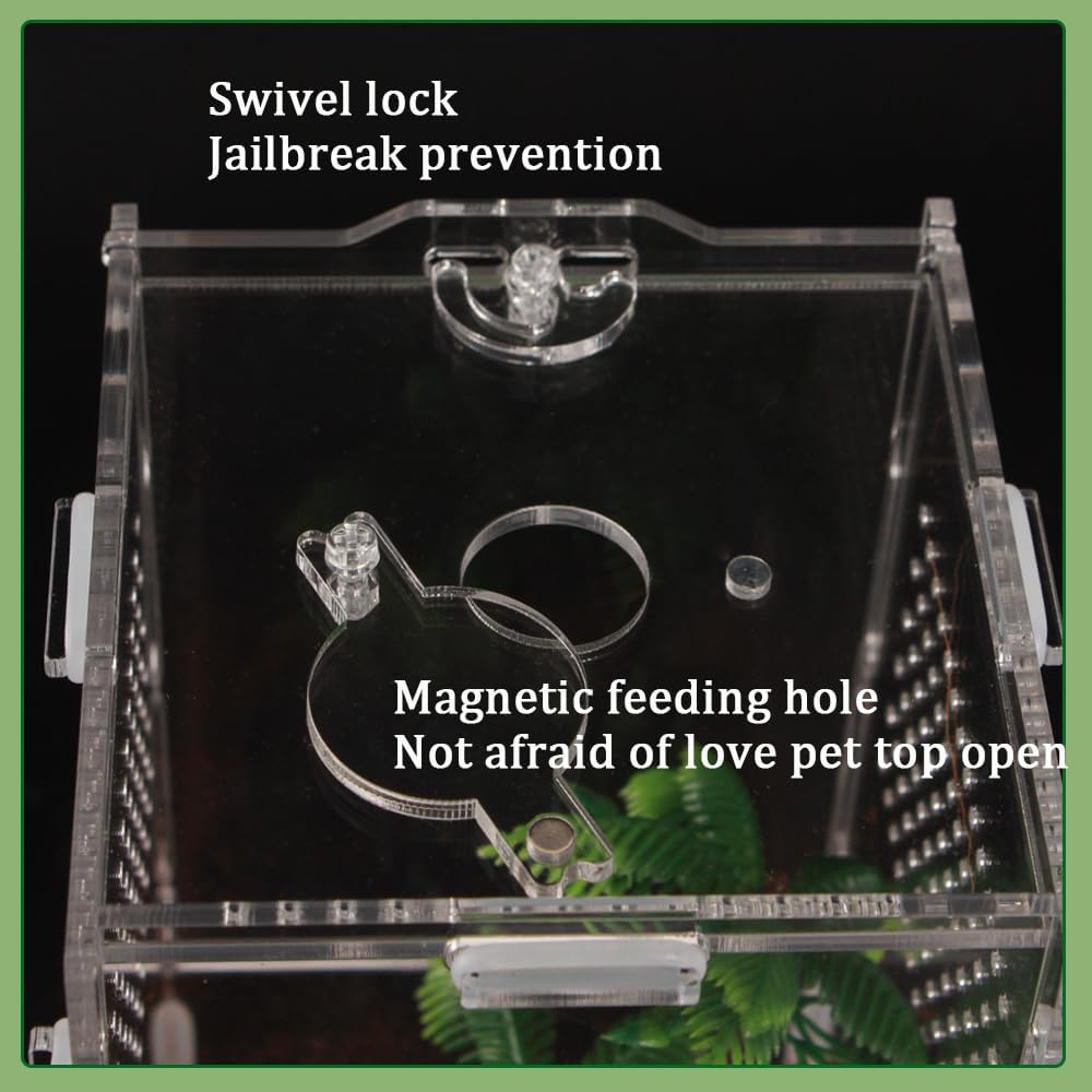 8x4x4 Inch Modern Rectangular Acrylic & Polycarbonate Vivarium for Tarantulas, Lizards, Snakes, Geckos, Jumping Spiders, Snails, Insects