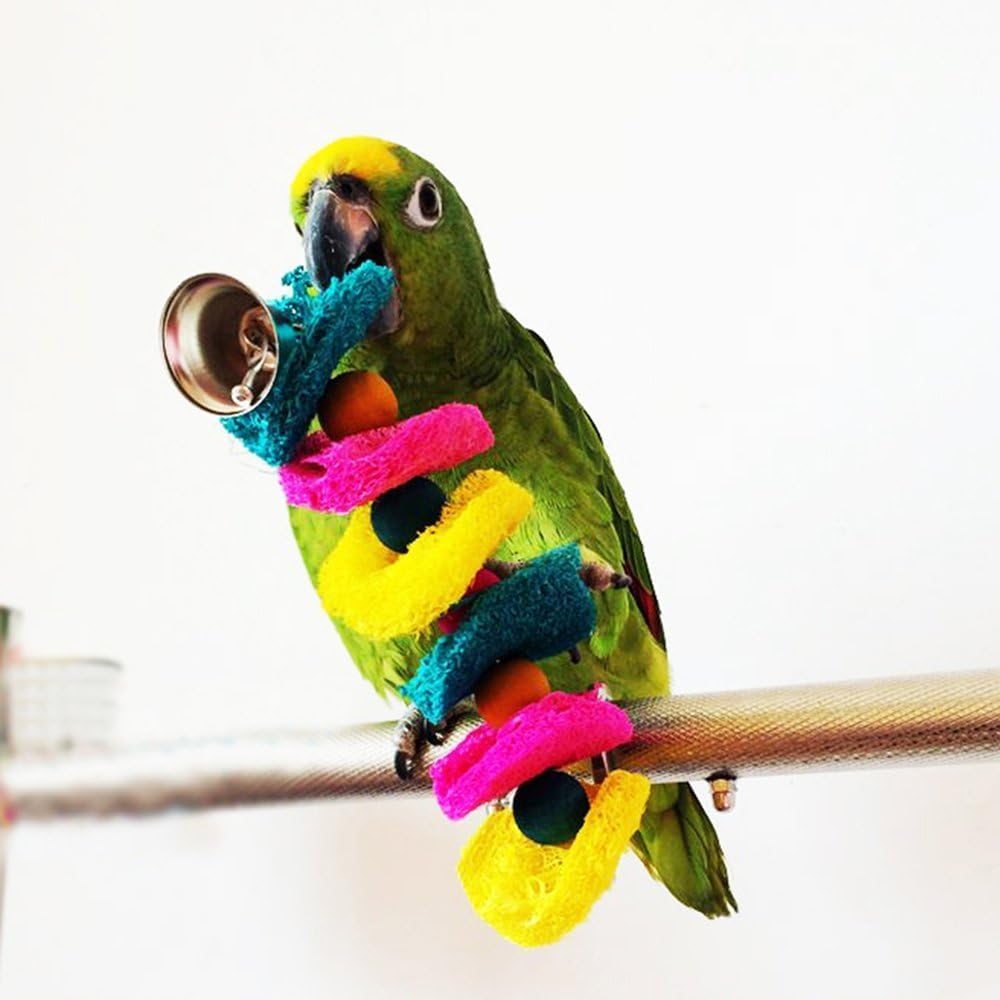 Hypeety Bird Toys Parrot Hanging Chew Toys Natural Colorful Loofah Shred and Preen Swing Bird Bell Cage Parrot Toys
