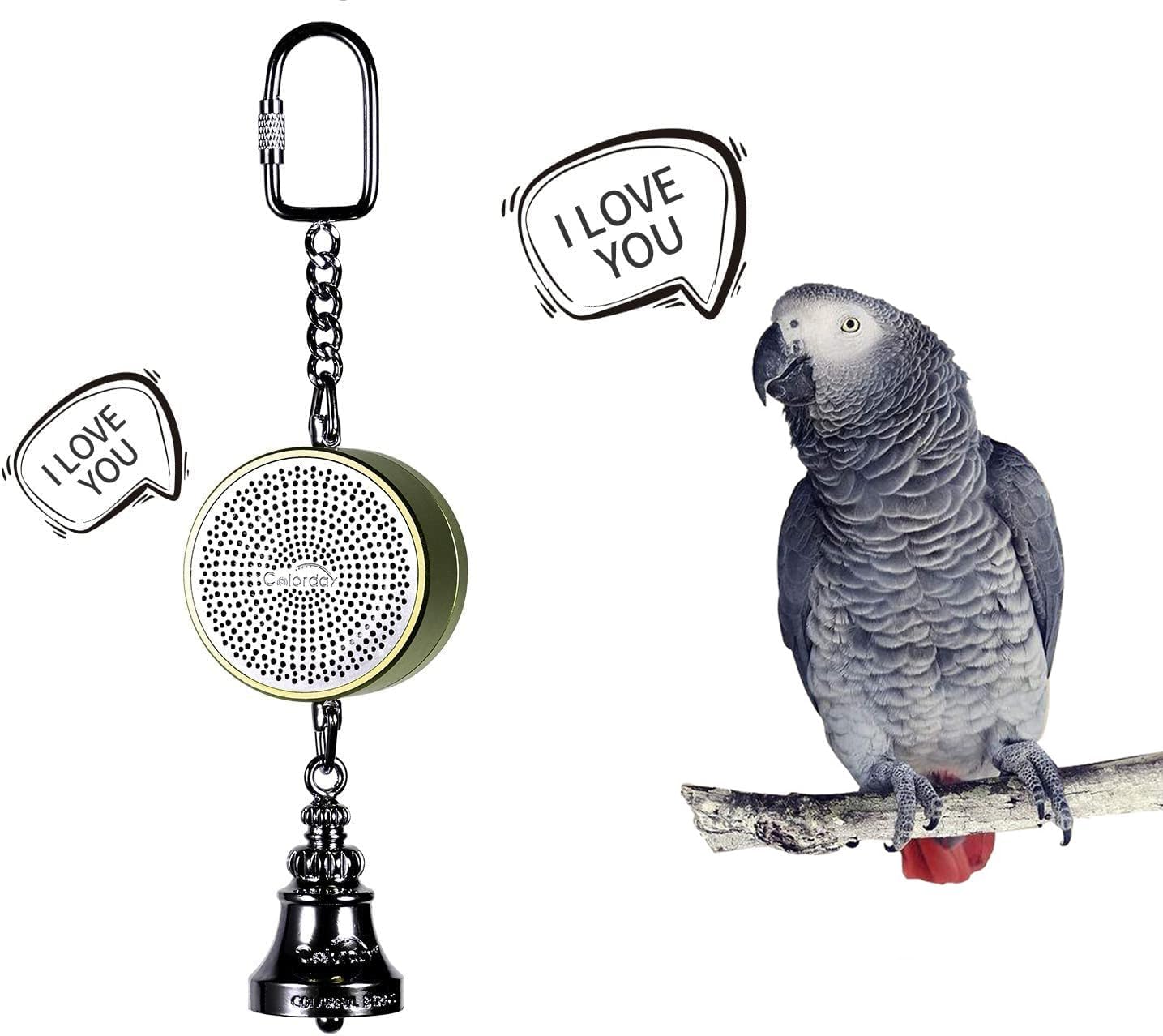 Colorday Bird Toys Parrot Talking Coach & Interactive Voice Bell for Parakeet, African Grey, Amazon Parrots, Quaker, Cockatiel, Conure (Green)