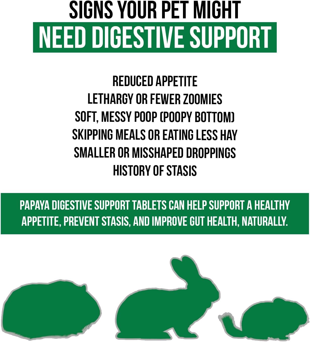 Digestive Support, Papaya by Sherwood Pet Health (100 Tablets - 60 Grams). Contains Natural Motility Herbs That Regulate The Digestive Tract, Improve The Gut microbiome and Stimulate The Appetite.