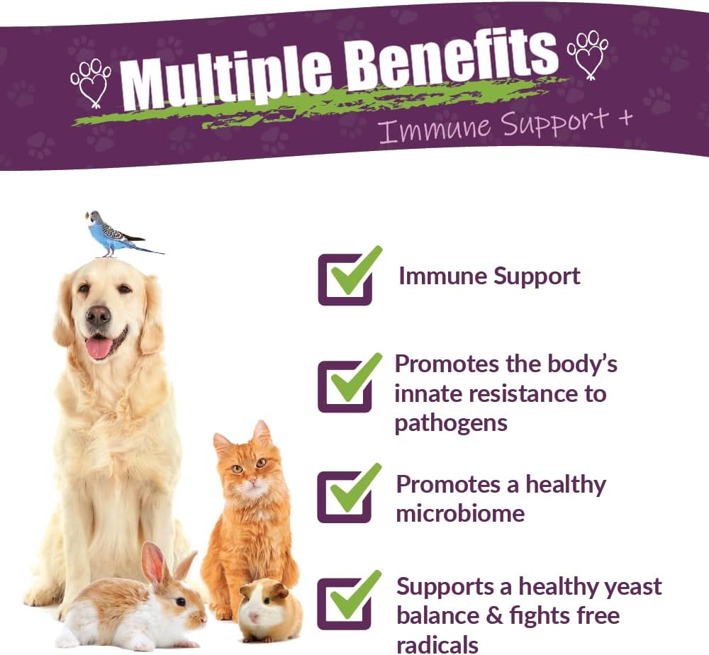 Amber NaturalZ Vibactra Plus Herbal Supplement for Dogs, Cats, Birds, Guinea Pigs, and Rabbits | Herbs for Immune Health and Yeast Balance | 4 Fluid Ounce Glass Bottle