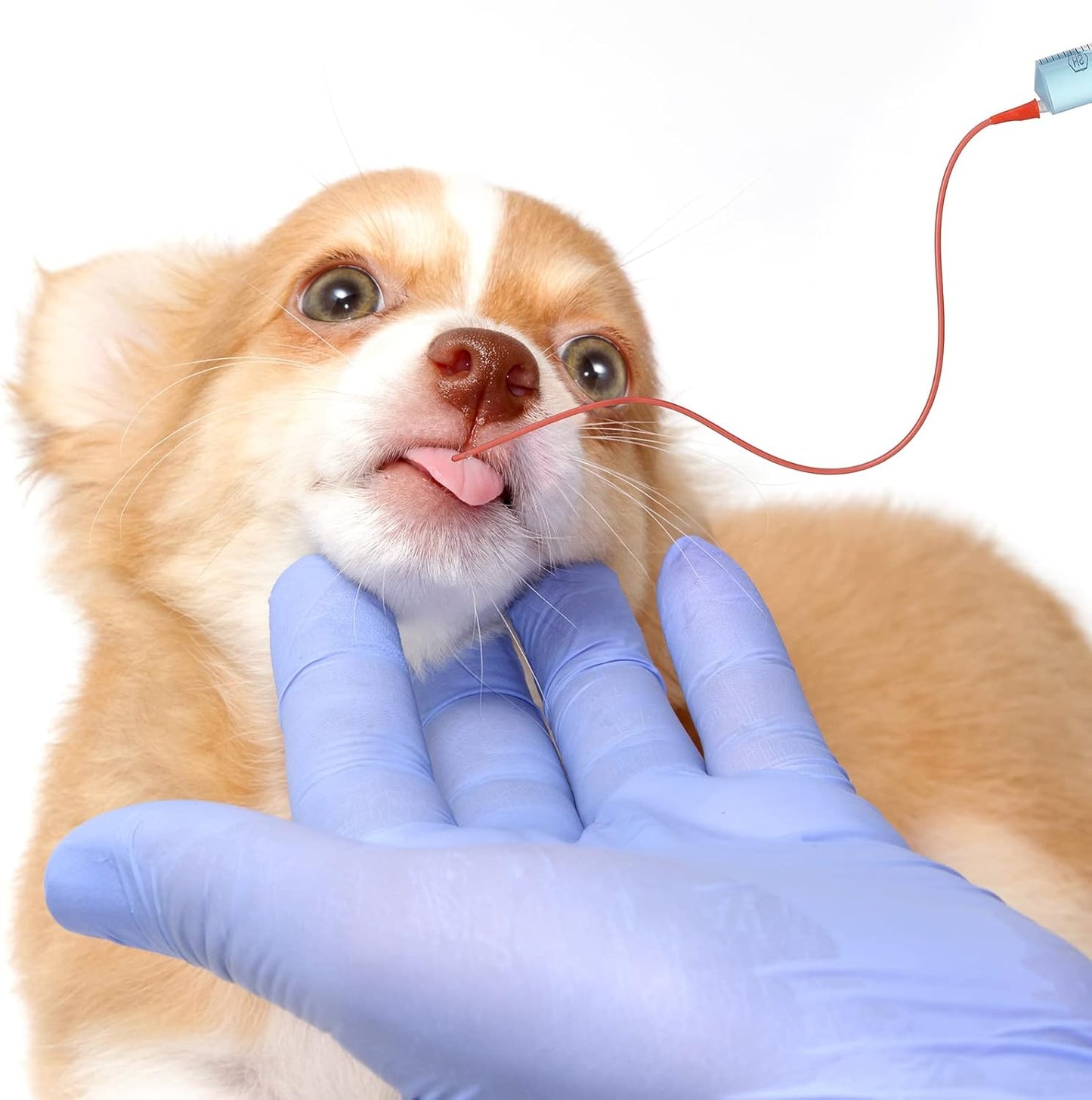 3 Sets Puppy Kitten Feeding Tube Kit Includes 3 Pcs 8 FR Red Rubber Feeding Tubes and 3 Pcs 30 ml Clear Feeding Syringe Kitten Syringe Feeding Supplies Feeding Tube Syringes Tool for Small Animals