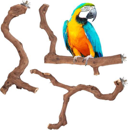 3-Piece Premium Bird Perch Stand with Natural Grape Wood Branch, Paw Grinding Fork, Chewing Stick, Cage Accessories for Parakeets, Budgies, Cockatiels, Finches, Lovebirds