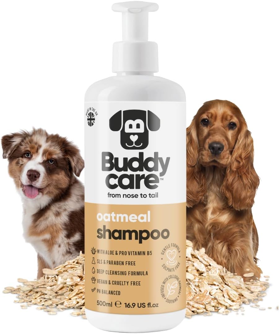 Oatmeal Dog Shampoo for Smelly Dogs (16.90oz) - Hypoallergenic & Itch Relief Formula, Gentle on Sensitive Skin, Includes Dog Shampoo and Conditioner - Essential Dog Grooming Supplies