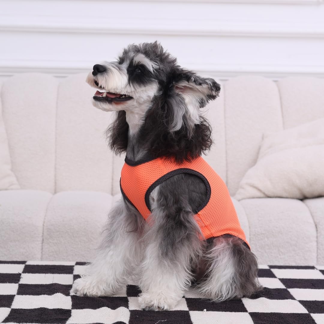 2 Pack Cooling Shirts for Dogs, Lightweight Mesh Breathable Dog Clothes for Large Dogs Boy Girl,Sports Fan Pet T-Shirts for Dog&Cat Puppy Vest Pet Apparel - XXL