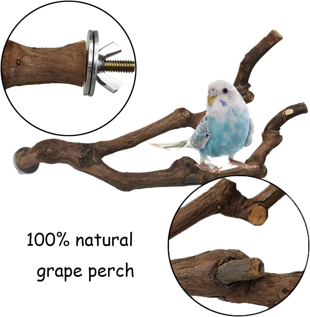 kathson Natural Parrot Perch Bird Stand Pole Wild Grape Stick Paw Grinding Fork Parakeet Climbing Standing Branches Toy Chewable Cage Accessories for Small Budgies Cockatiels Lovebirds 3PCS