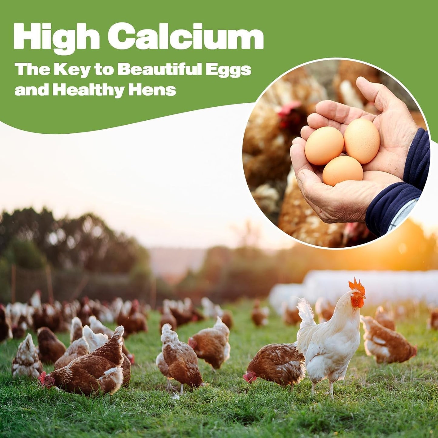 5LB Dried Black Soldier Fly Larvae, 86X Calcium Than Dried Mealworms, High Protein Non-GMO Organic Chicken Feed