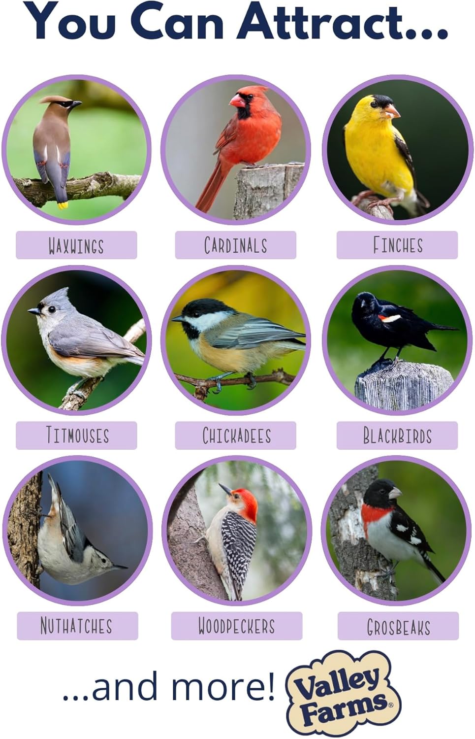 Valley Farms Fruit Nut & Berry 4 LB 2-Pack (8 LB Total) Wild Bird Food for Outside Feeders, Bird Seed with Dried Fruit, Peanuts Sunflower Hearts, Safflower High Energy Mix for Healthy Birds!