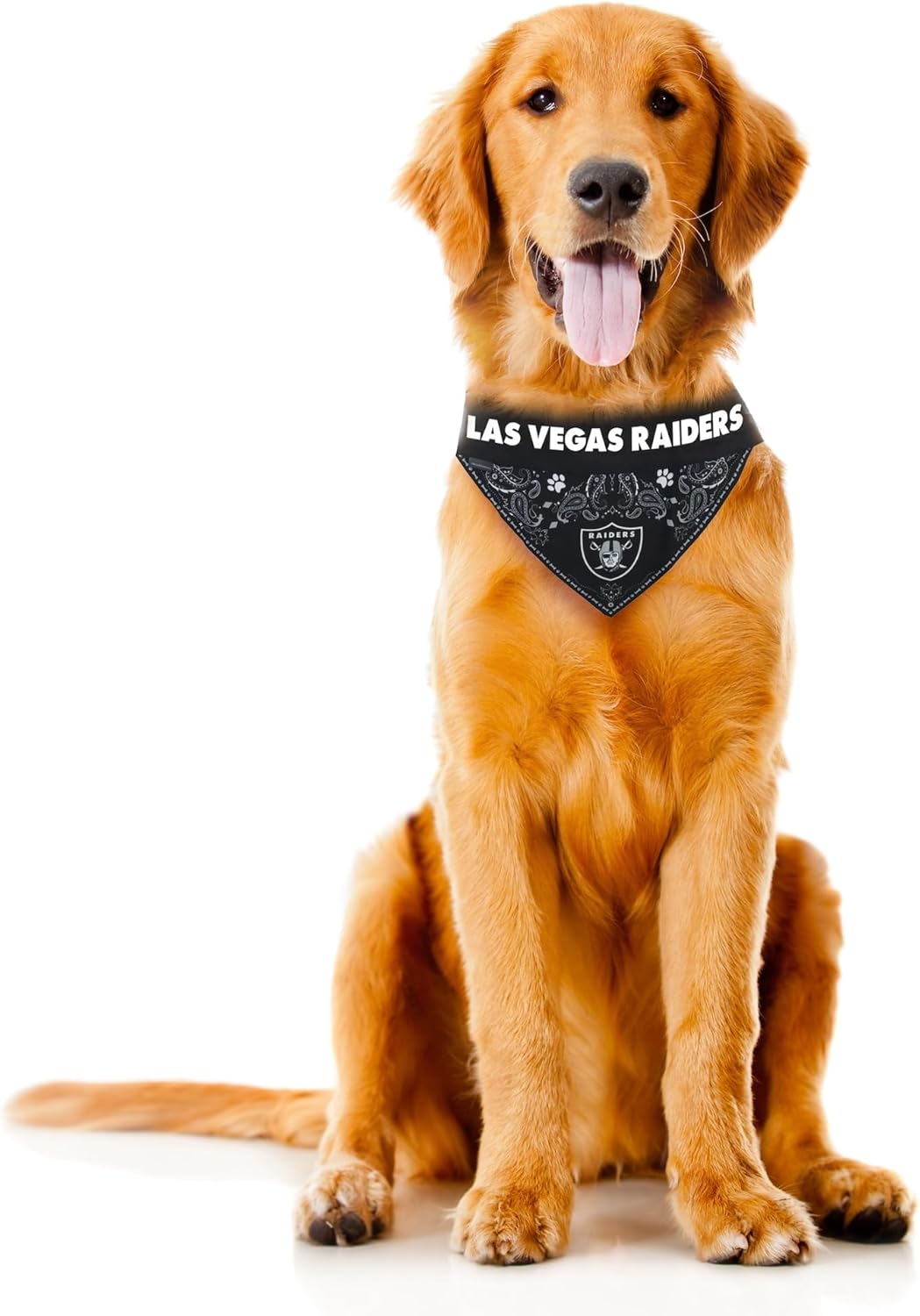 Littlearth NFL Pet Bandana - Reversible