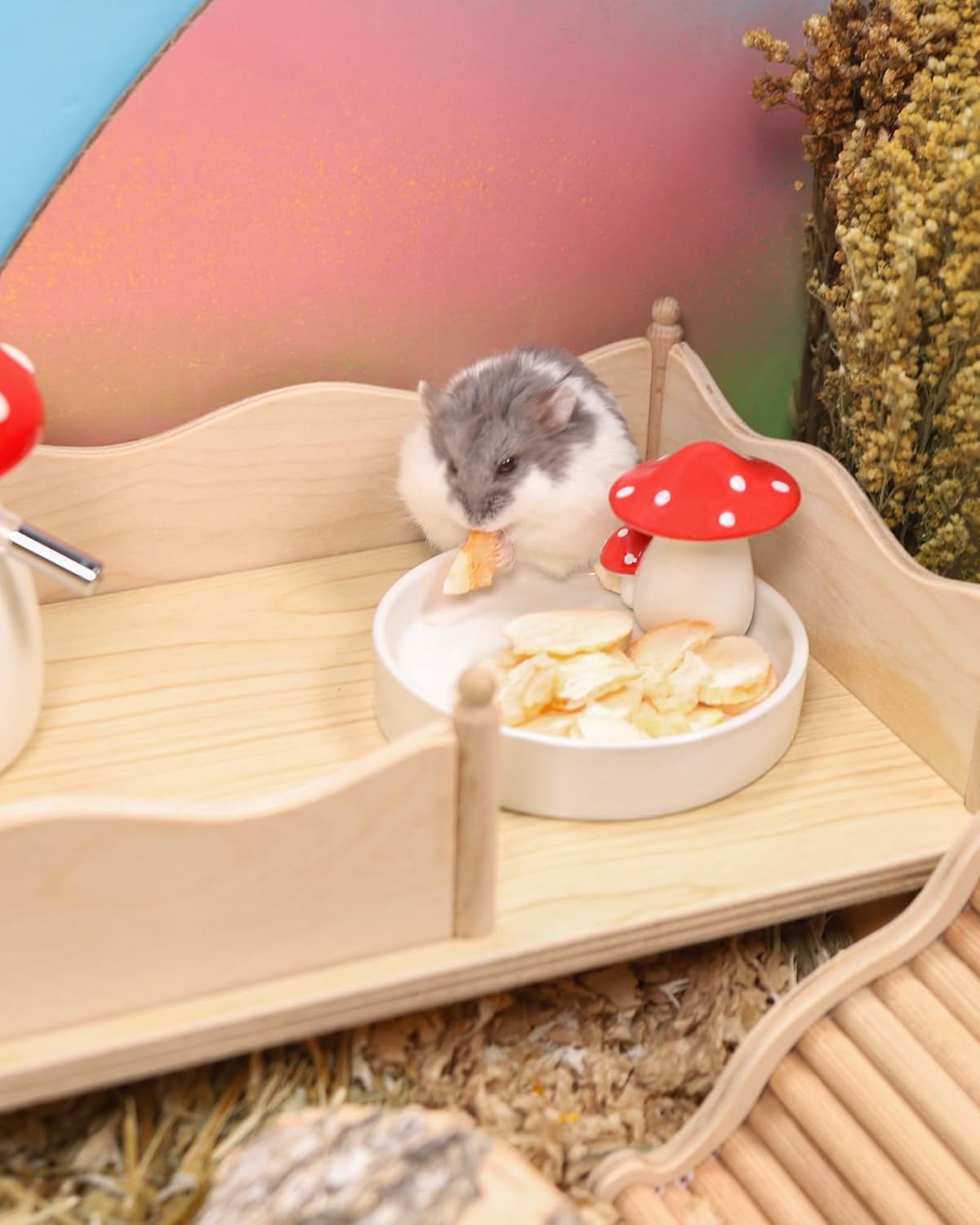 Niteangel Hamster Snack & Treats Toy - Small Animal Natural Treat for Dwarf Syrian Robo Hamsters Gerbils Mice Lemmings Degus or Other Small-Sized Pets