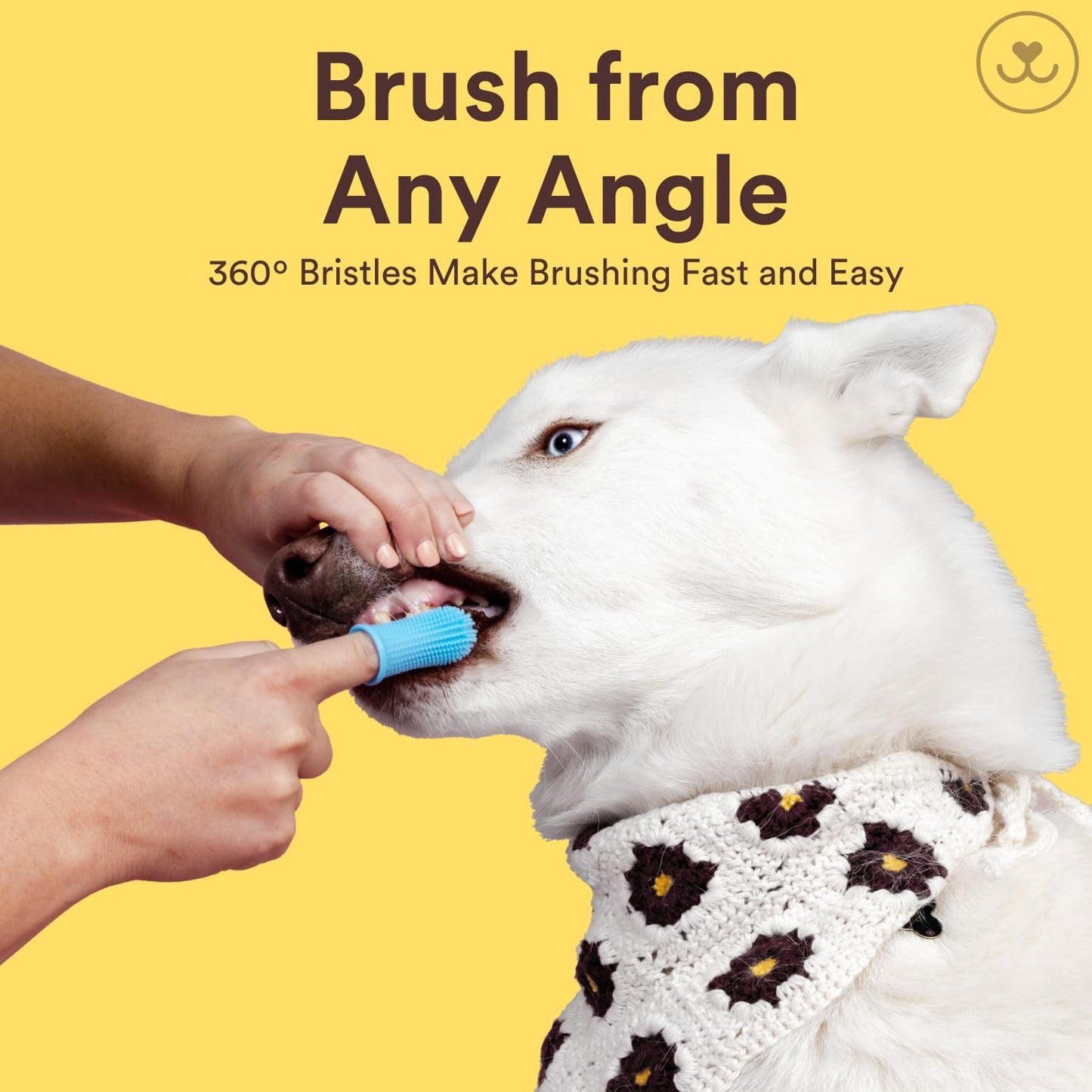 Jasper Dog Toothbrush, 360 Degree Pet Tooth Brushing Kit, Cat Toothbrush, Canine Dental Care & Teeth Cleaning Kit, Pet Finger Tooth Brush, Use with Dog Toothpaste, 4-Pack Multicolor