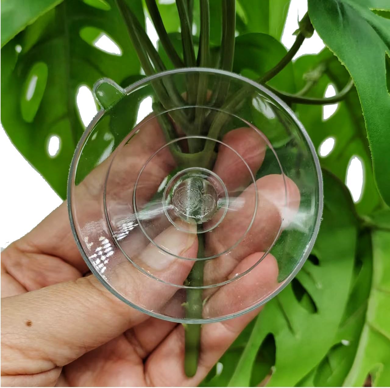 Reptile Plants for Terrarium Decor, Amphibian Habitat Decor, Reptile Tank Accessories, Artificial Hanging Plants with Suction Cup-2 Packs (Swiss Cheese)