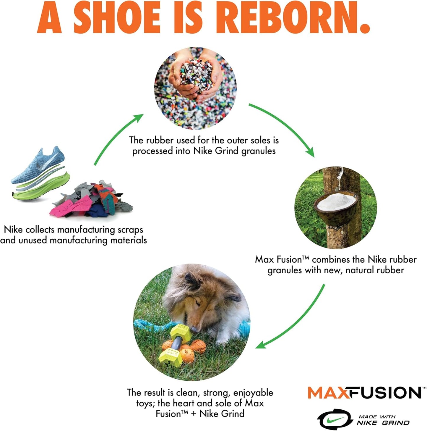 Max Fusion with Nike Grind, Arlee Spike Bone Dog Toy, Chew Toy for Play, Fetch, Tug, XL