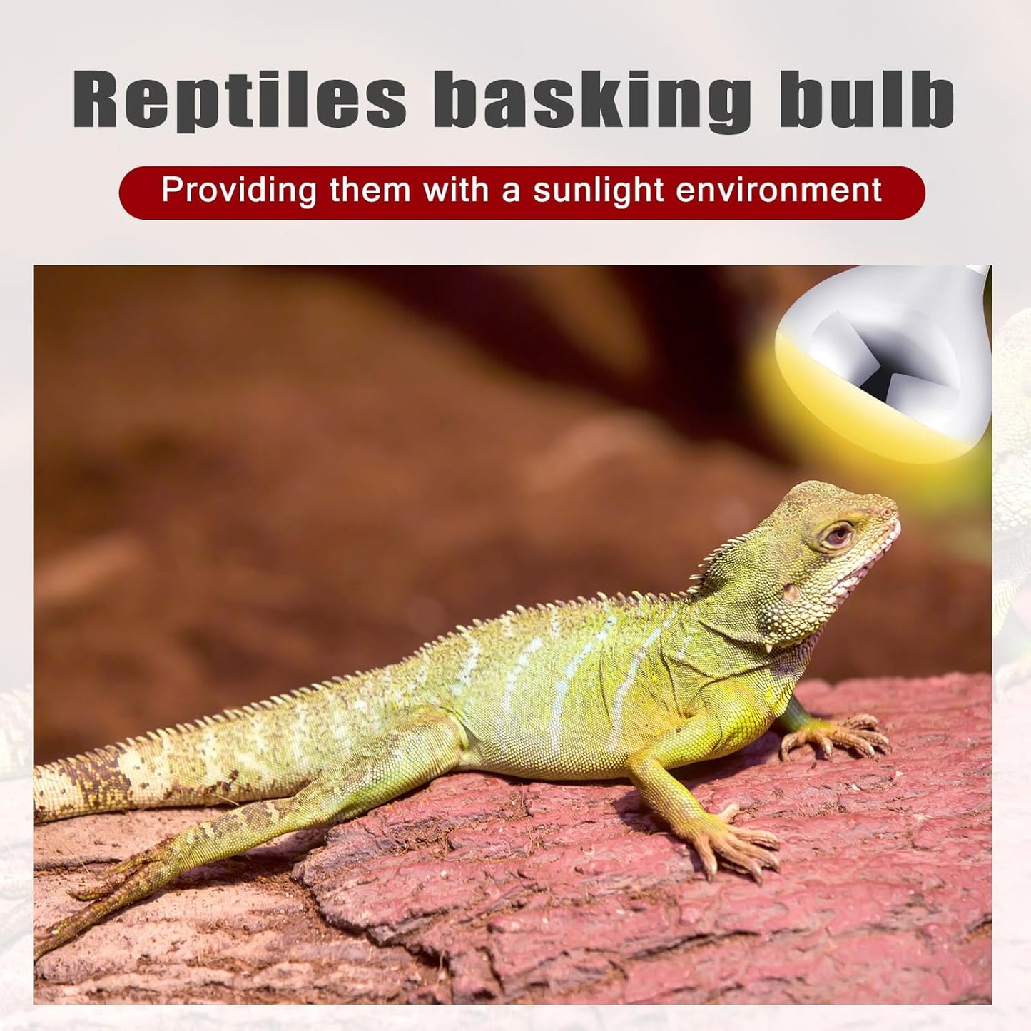 VIHOSE 6 Pack 250 Watt Heat Lamp 120v R40 Heat Lamp Bulbs Glass Incandescent Light Bulbs Incandescent Heating Lightbulbs for Reptiles Chicks Food Puppies Bathroom, Use E26 Base (Silver,Red)