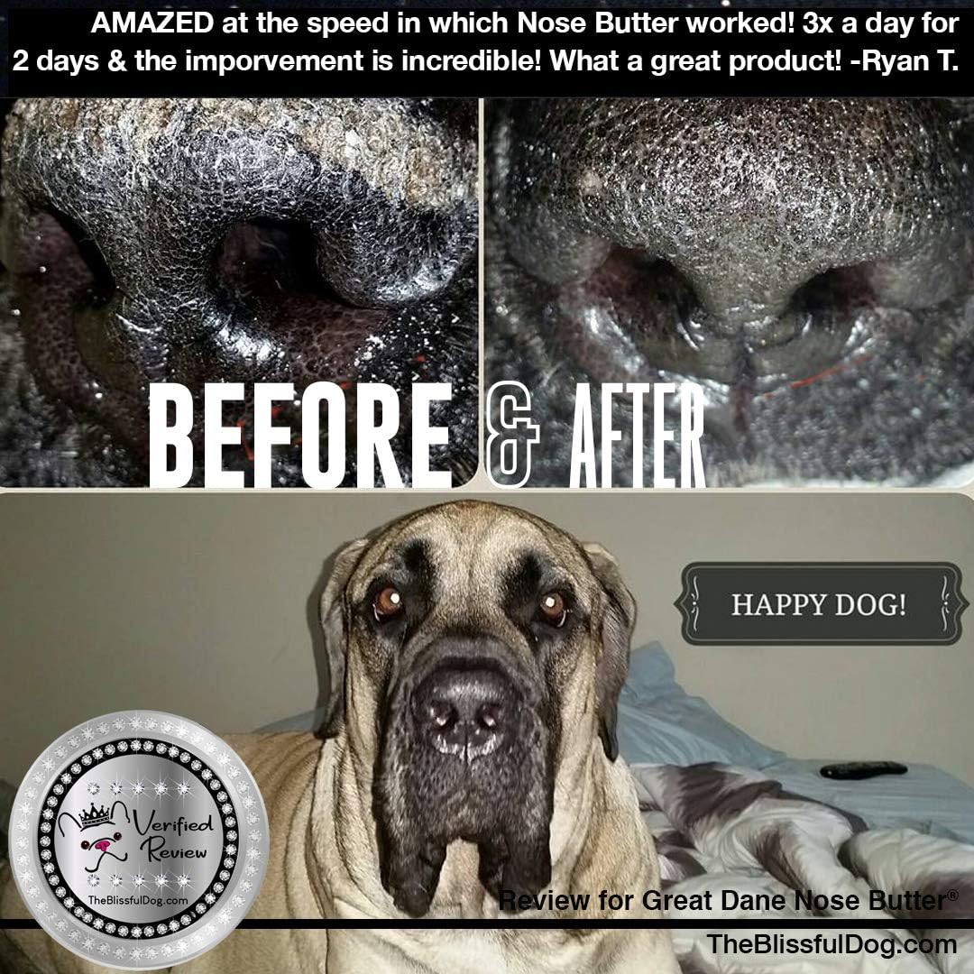 The Blissful Dog French Great Dane Nose Butter for Dry, Cracked Skin, Lick-Safe Dog Nose Balm with Moisturizing Shea Butter, Almond, Olive, and Essential Oils, Pet Supplies, Uncented, 0.50 oz.