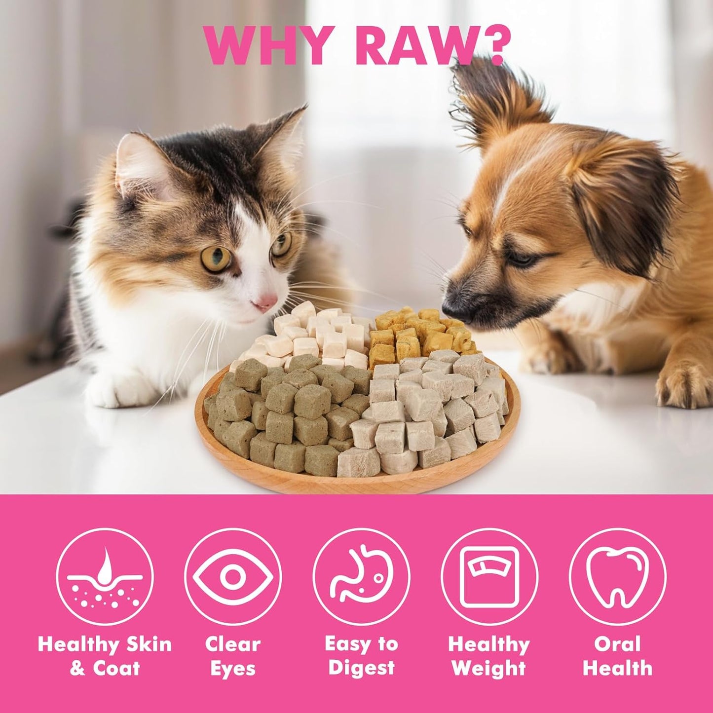 Freeze Dried Cats & Dogs Raw Treats, All Natural Single Ingredient Chicken Liver, High Protein Healthy Pet Training Treats or Food Topper, 3.5 oz