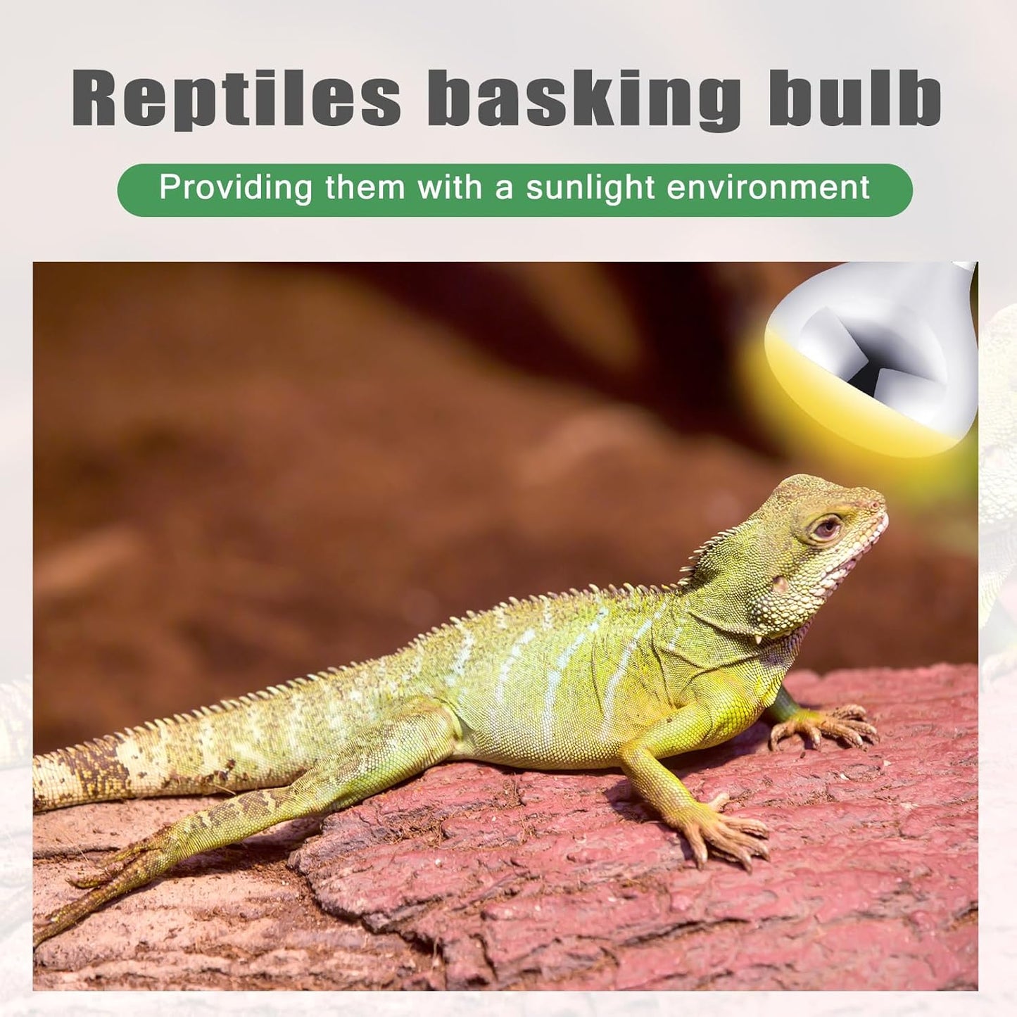 VIHOSE 4 Pack 150 Watt Heat Lamp 120v R40 Heat Lamp Bulbs Glass Incandescent Light Bulbs Incandescent Heating Lightbulbs for Reptiles Chicks Food Puppies Bathroom, Use E26 Base (Silver)