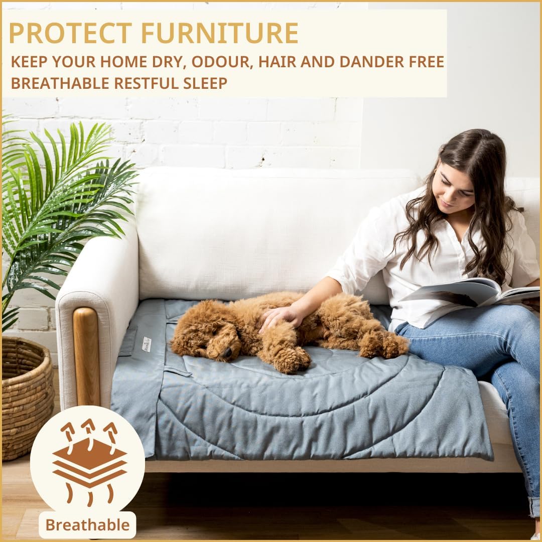 Portable Dog Mat - Waterproof & Foldable Pet Bed - Ideal for Indoor, Outdoor, Cafes, Travel, Camping, Grooming & Training - 39"x30" - Includes Carry Bag - Durable, Washable & Lightweight - Grey